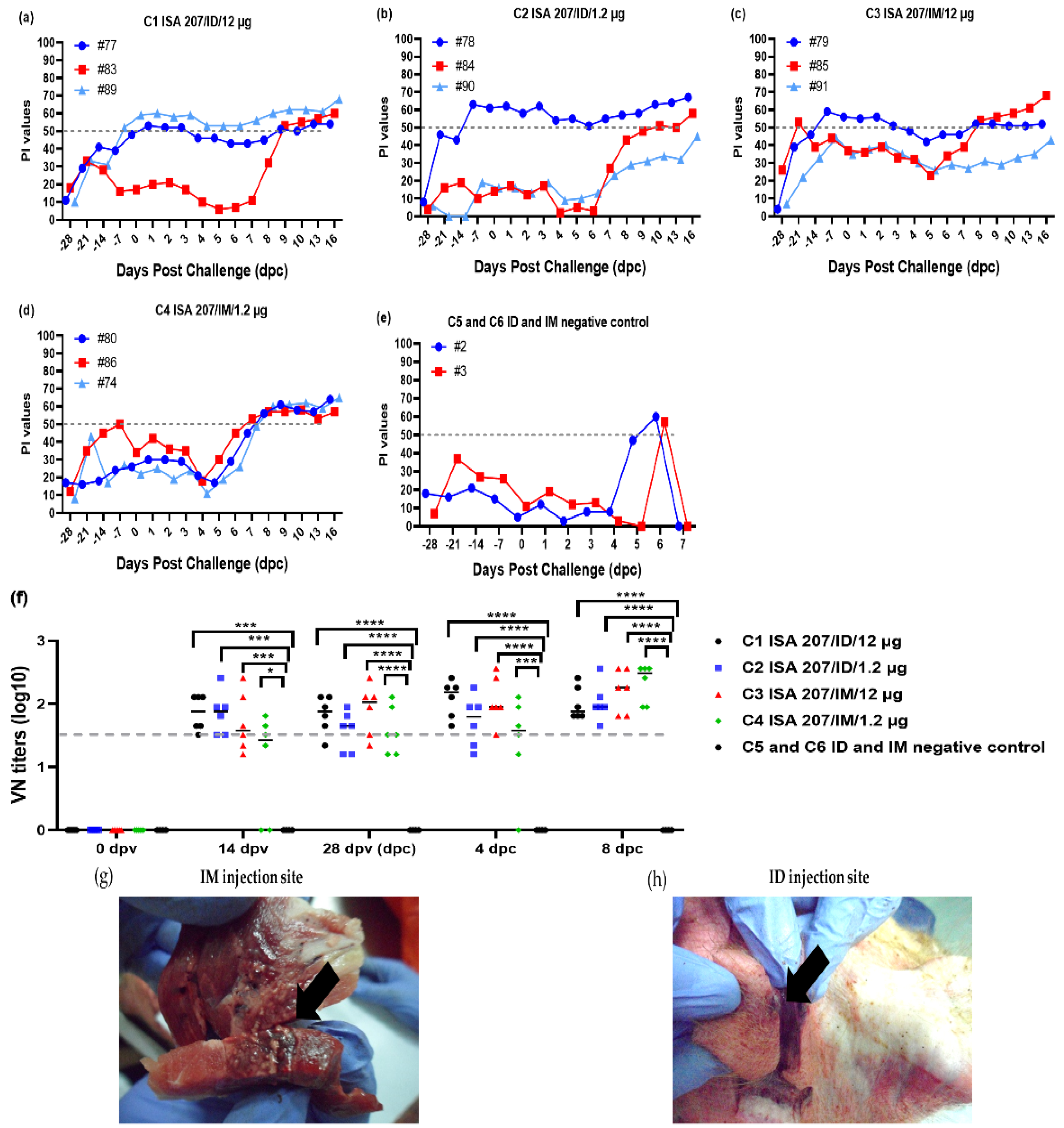 Vaccines 12 00963 g004 Vaccines 12 00963 g004