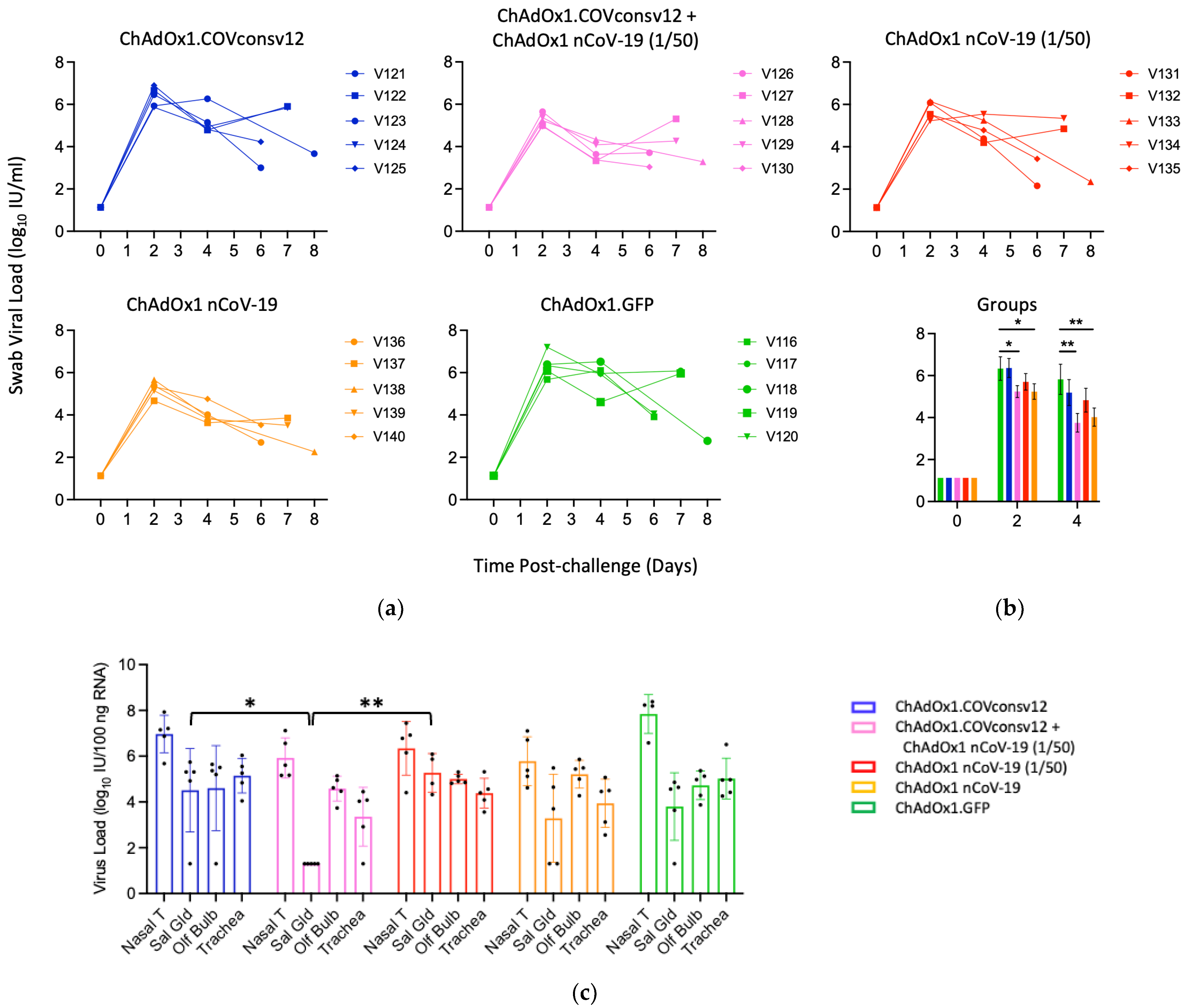 Vaccines 12 00965 g005