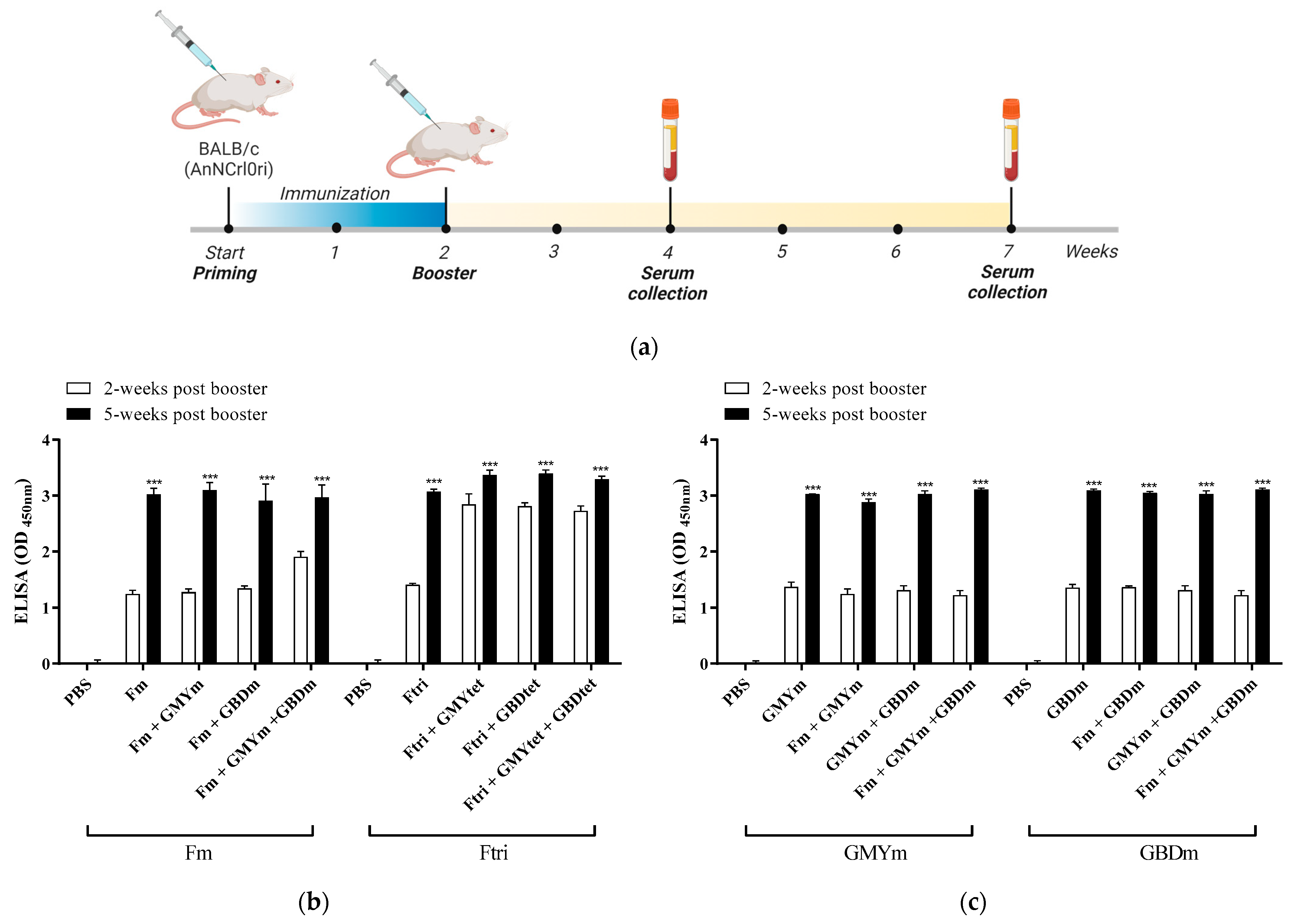 Vaccines 12 00999 g002a