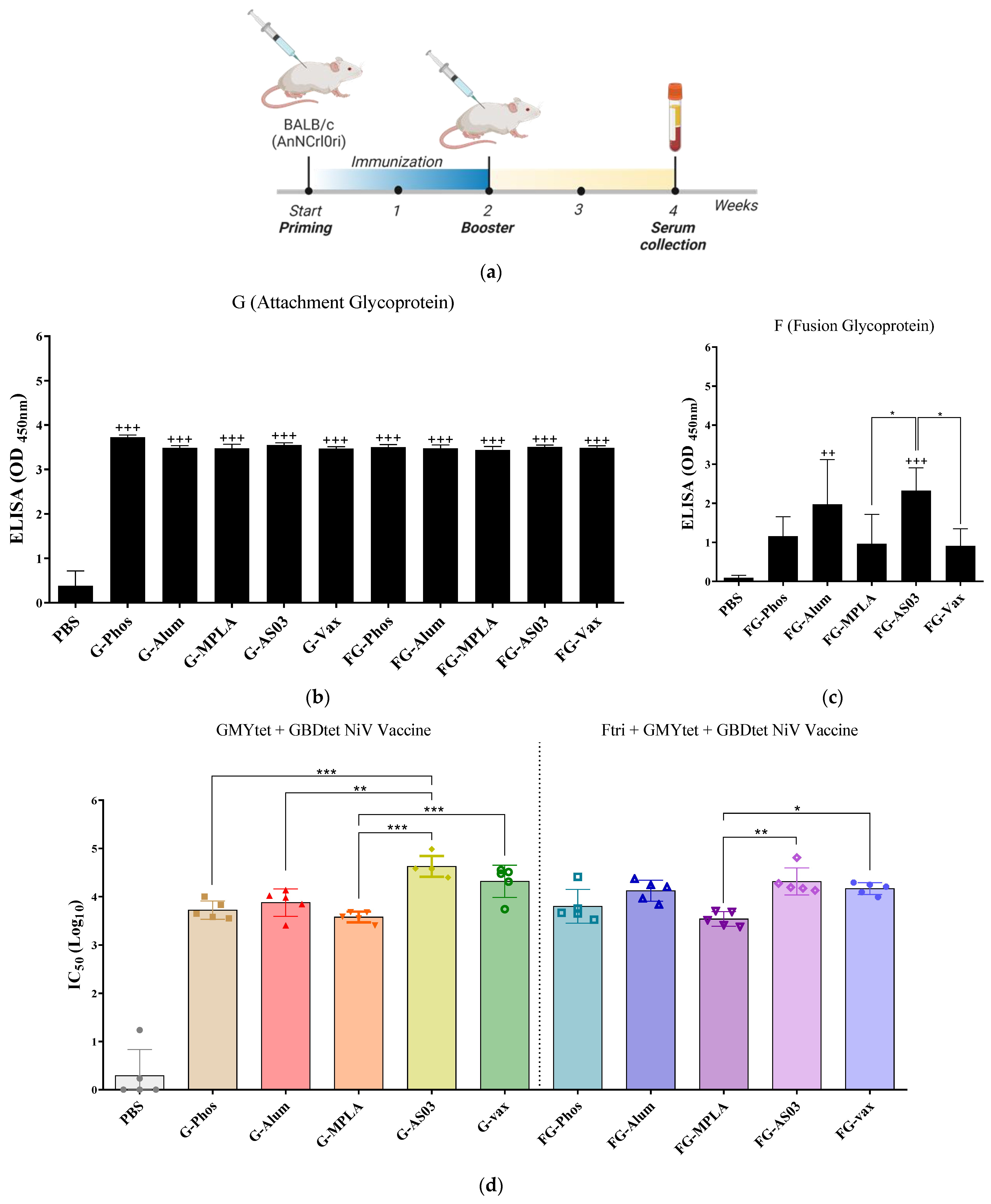 Vaccines 12 00999 g004