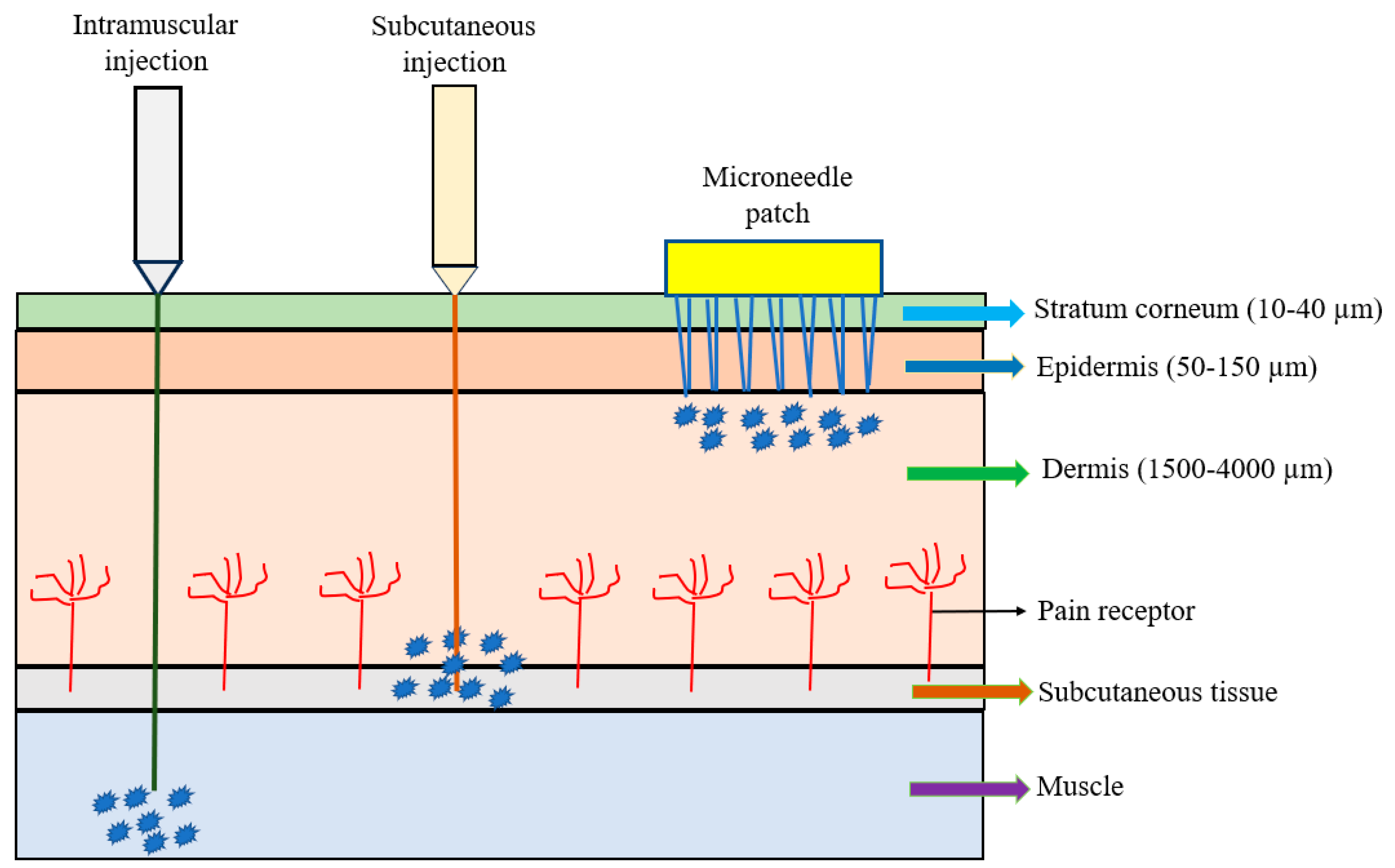 Vaccines 12 01002 g001