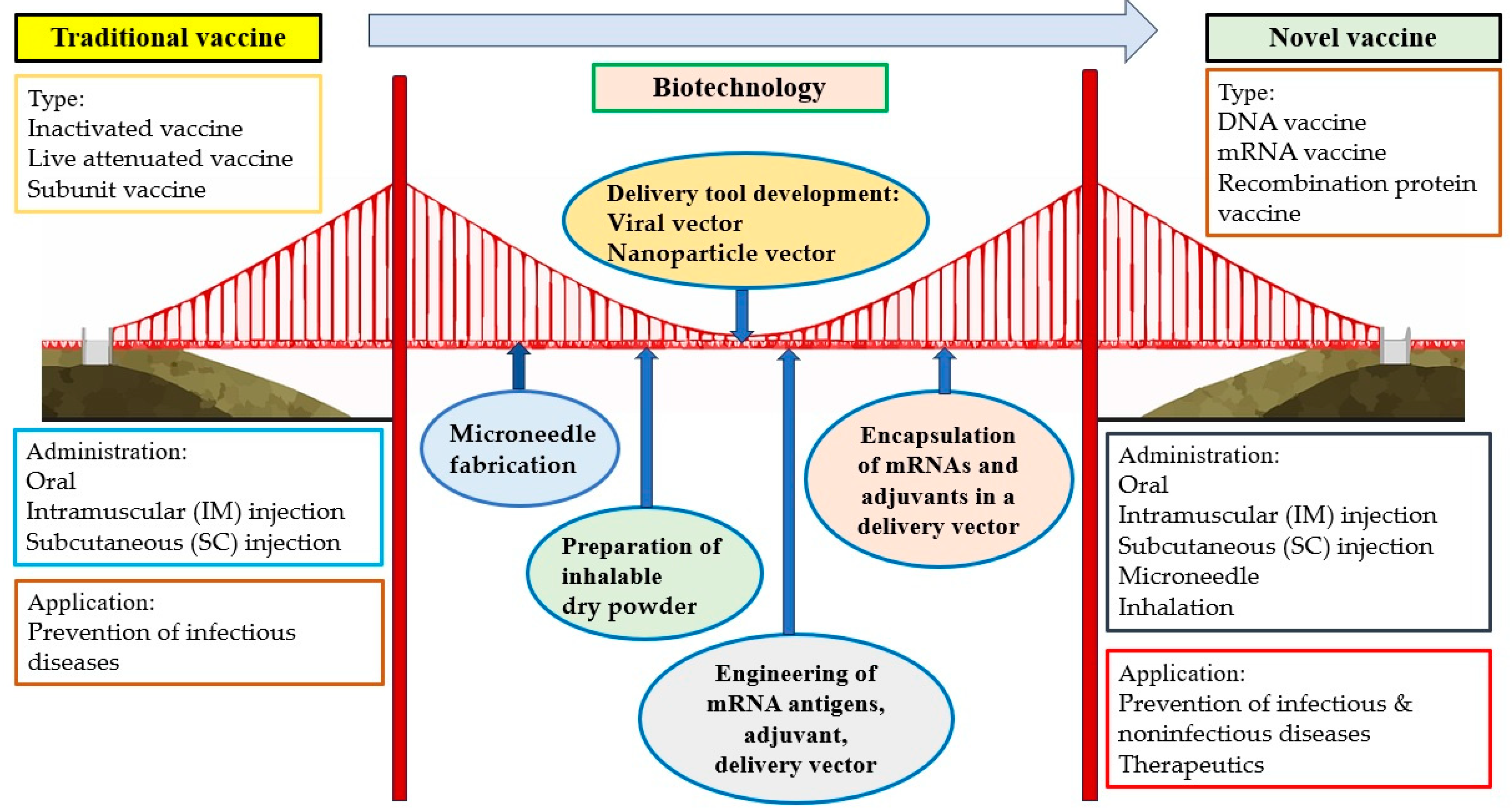 Vaccines 12 01002 g002