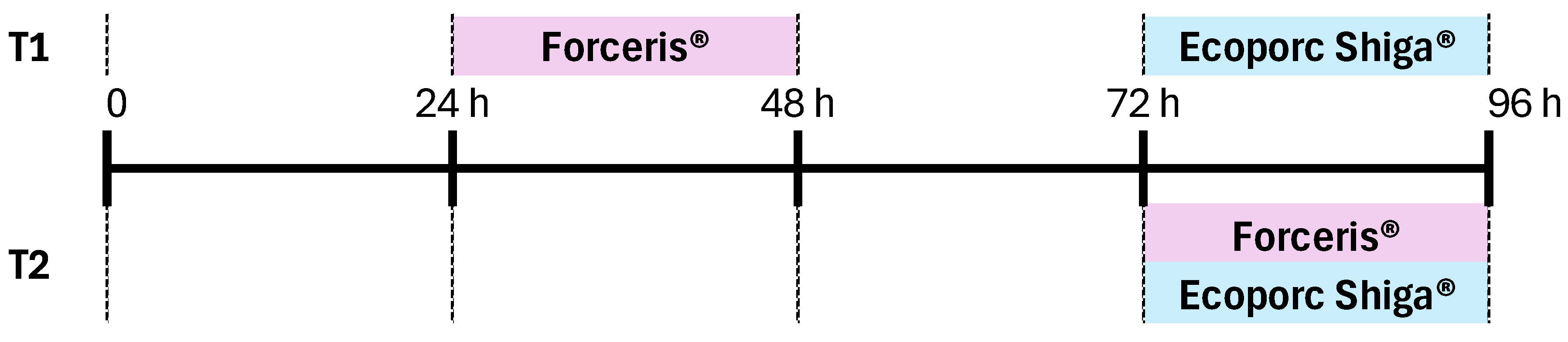 Vaccines 12 01004 g001