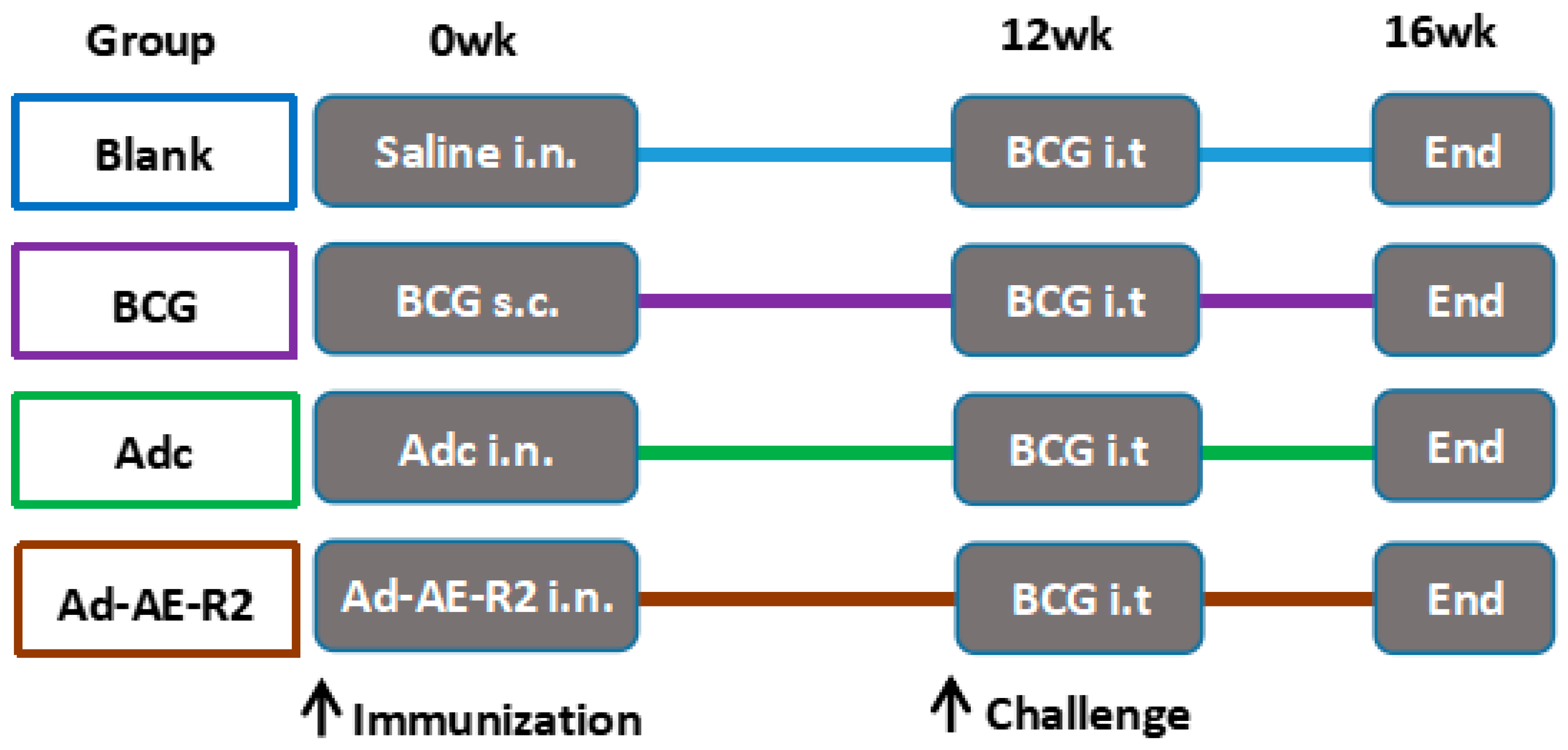 Vaccines 12 01022 g001