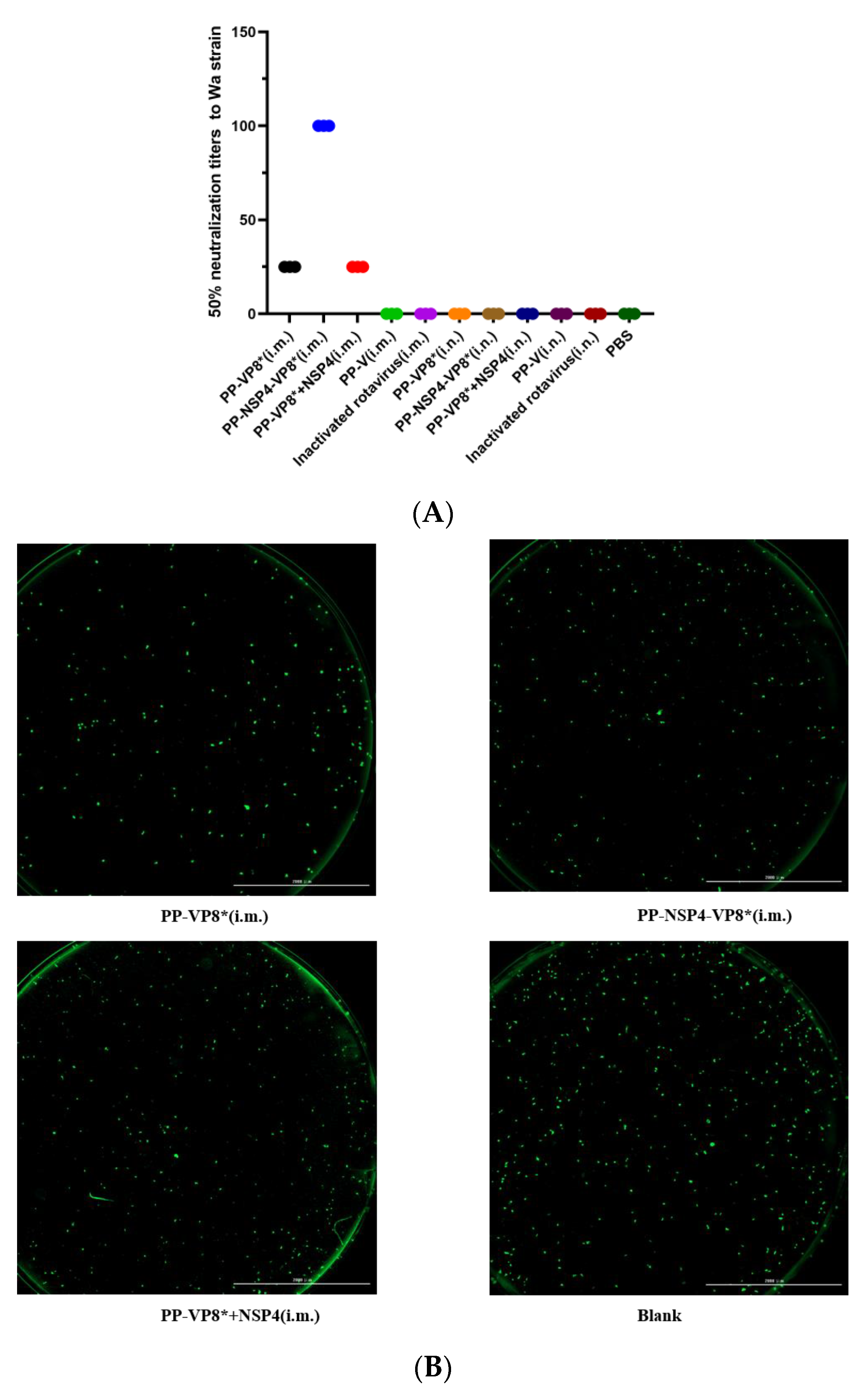 Vaccines 12 01025 g004