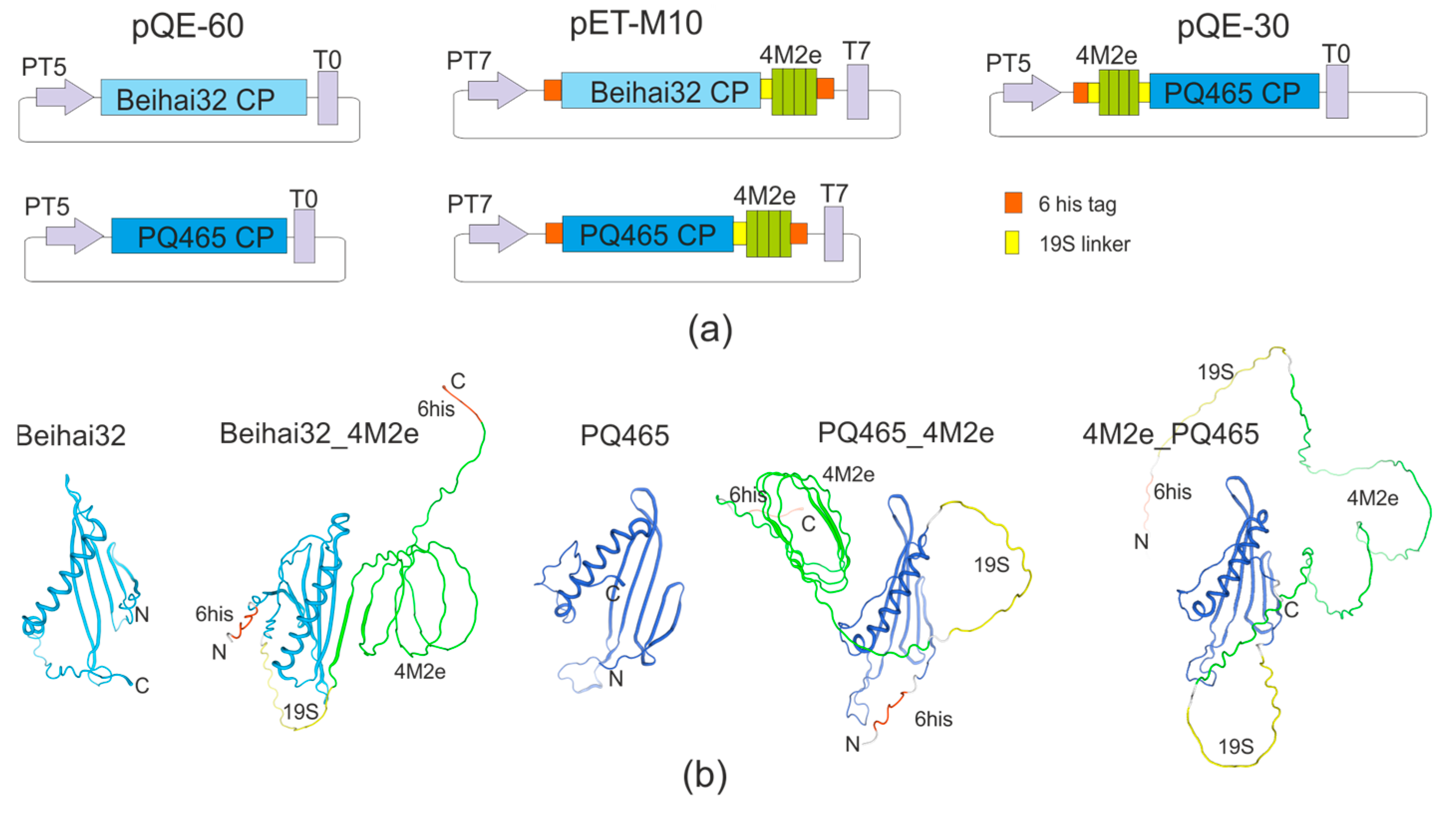 Vaccines 12 01033 g001