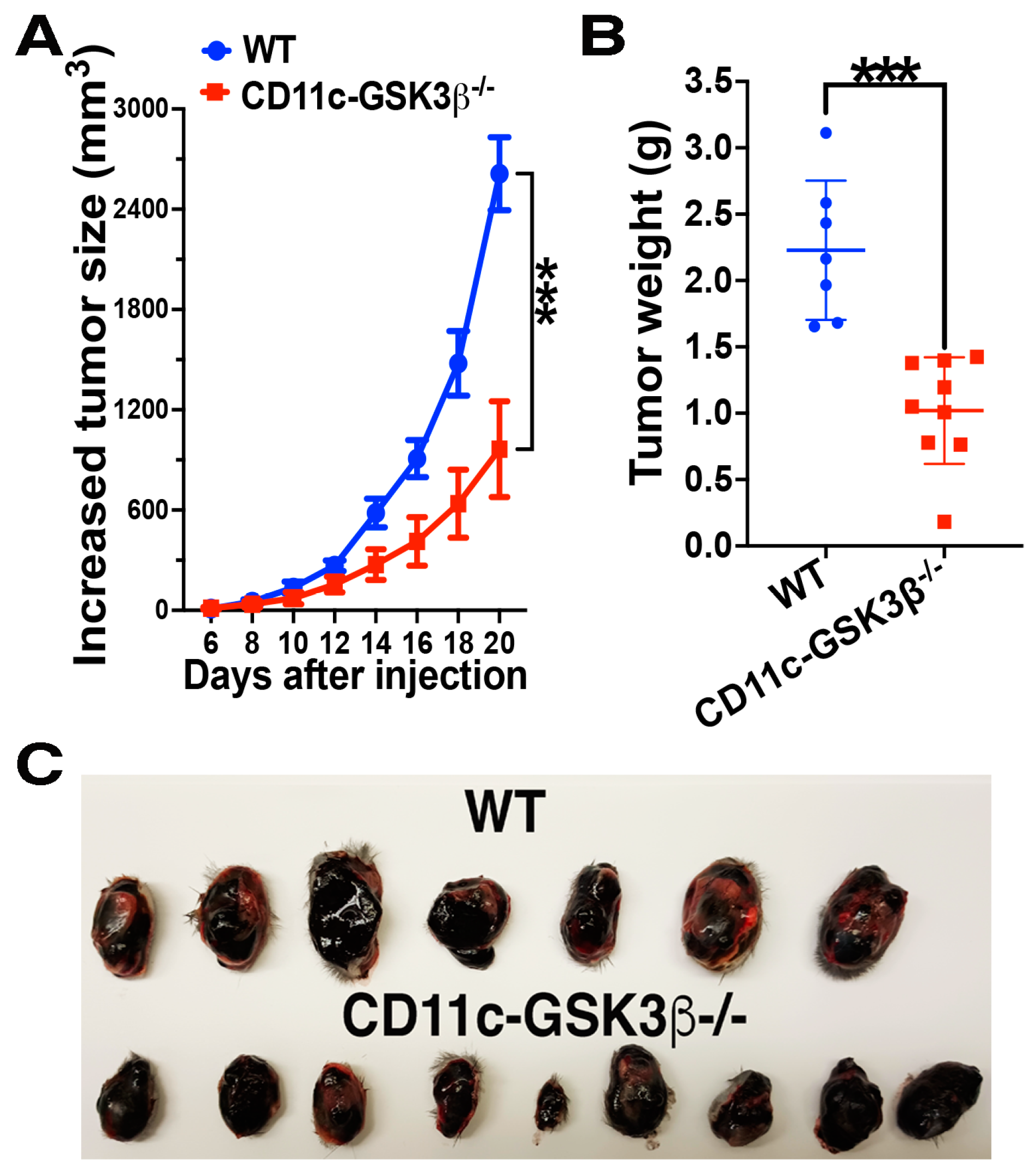 Vaccines 12 01037 g001
