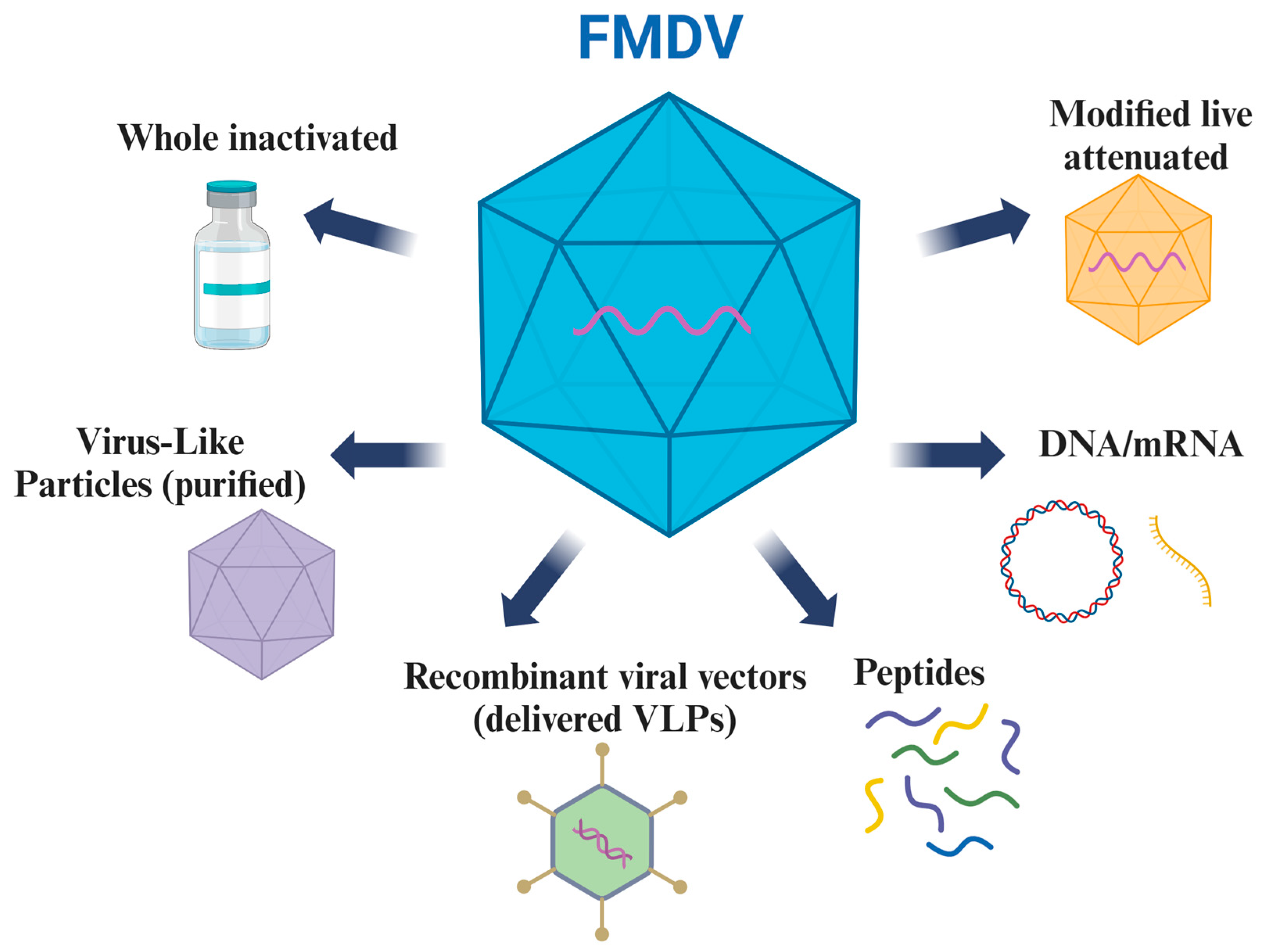 Vaccines 12 01071 g002 Vaccines 12 01071 g002