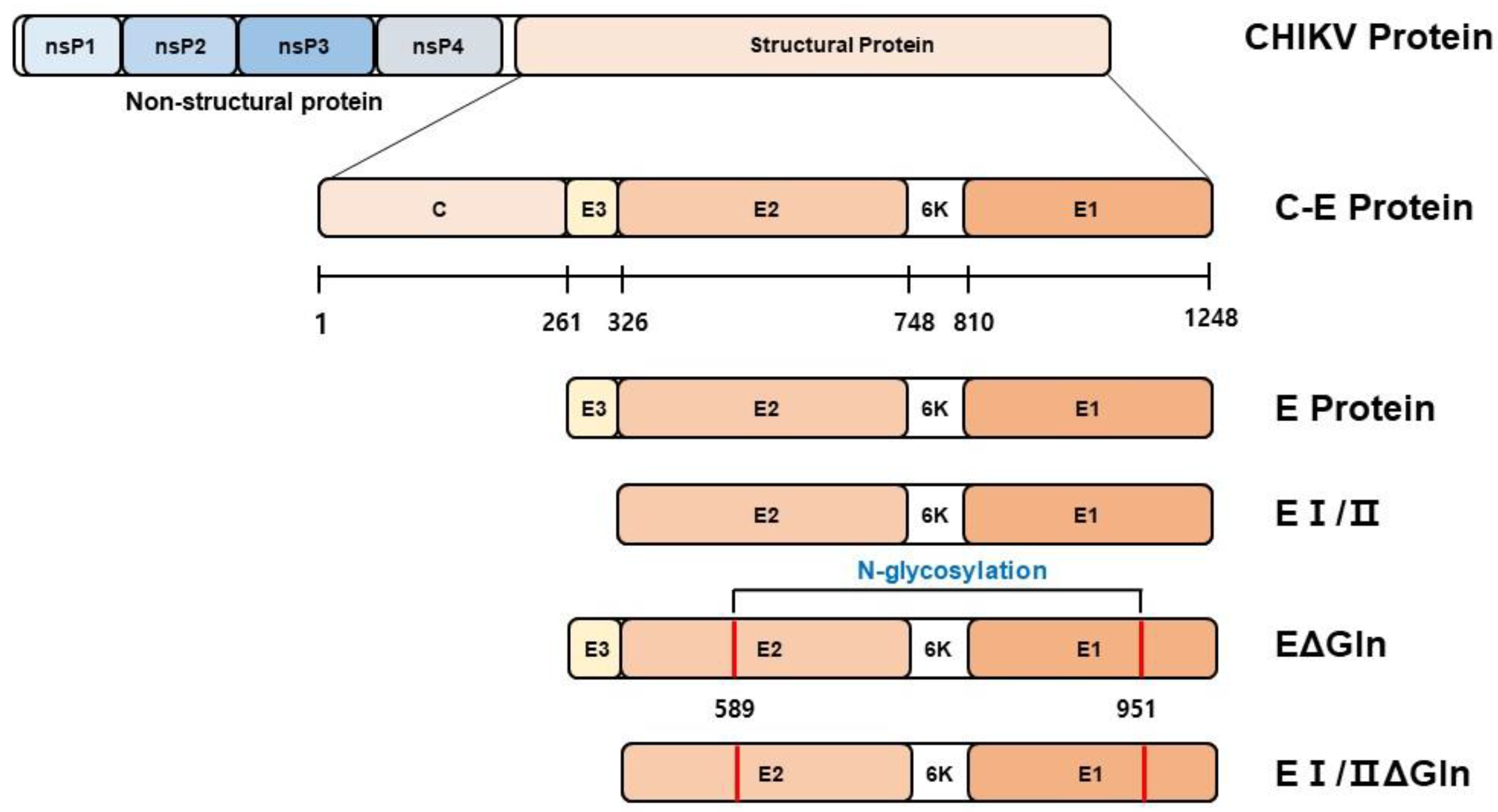 Vaccines 12 01097 g001