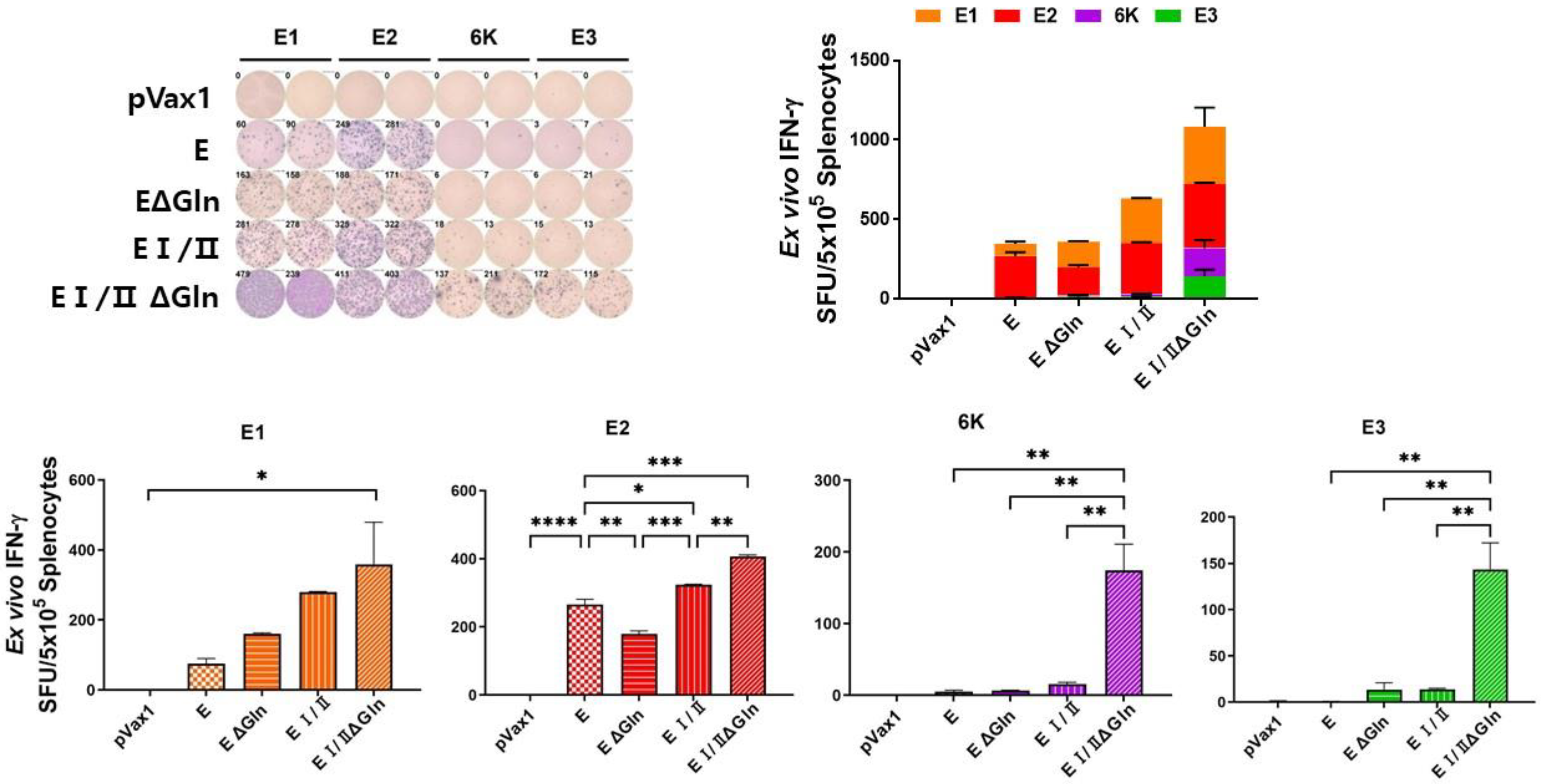 Vaccines 12 01097 g003