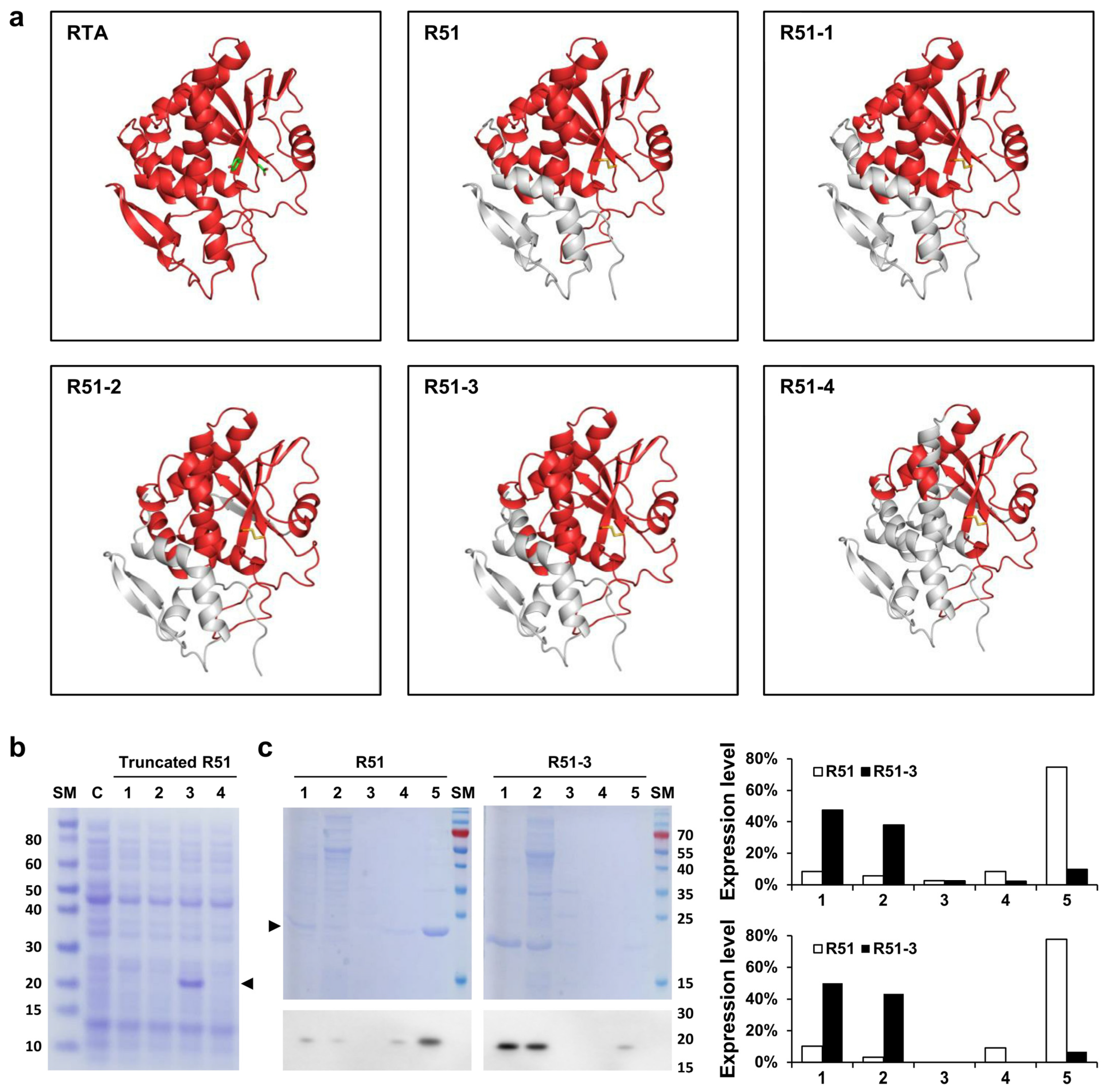 Vaccines 12 01116 g002