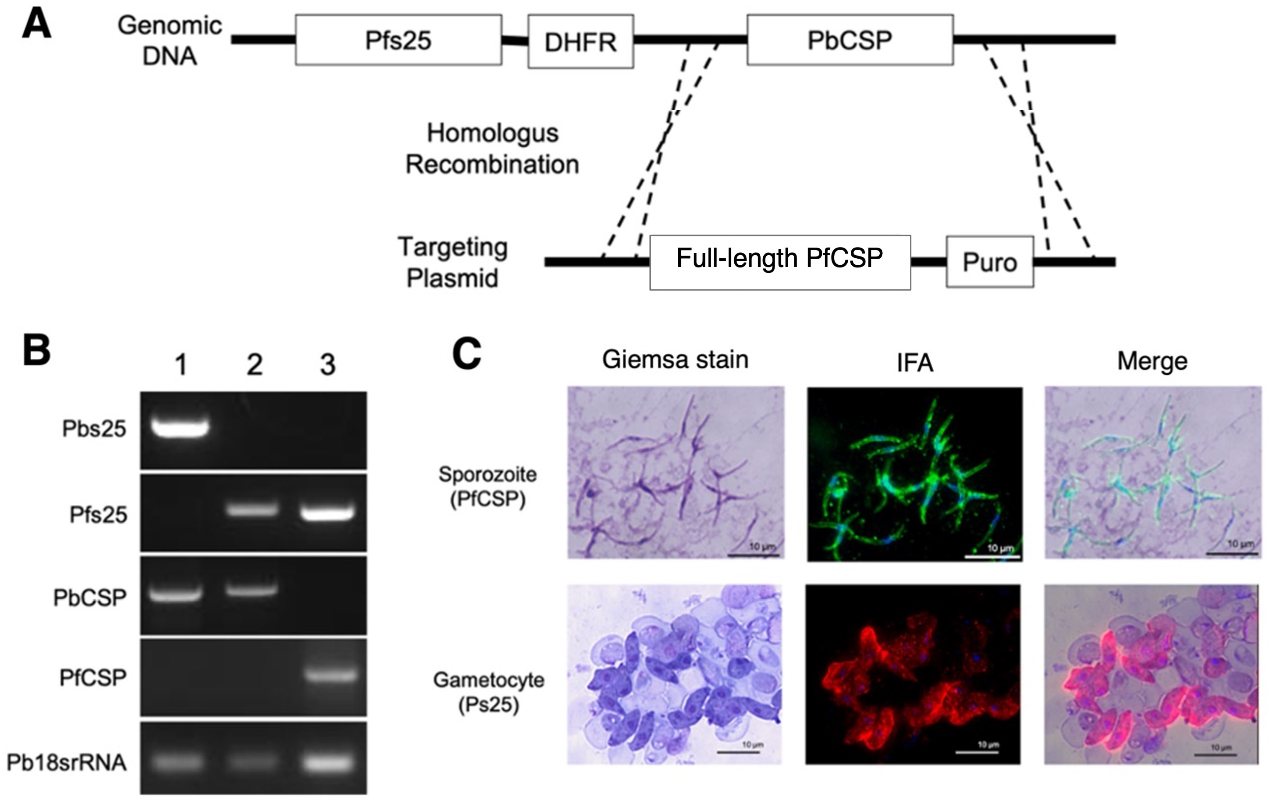 Vaccines 12 01155 g007