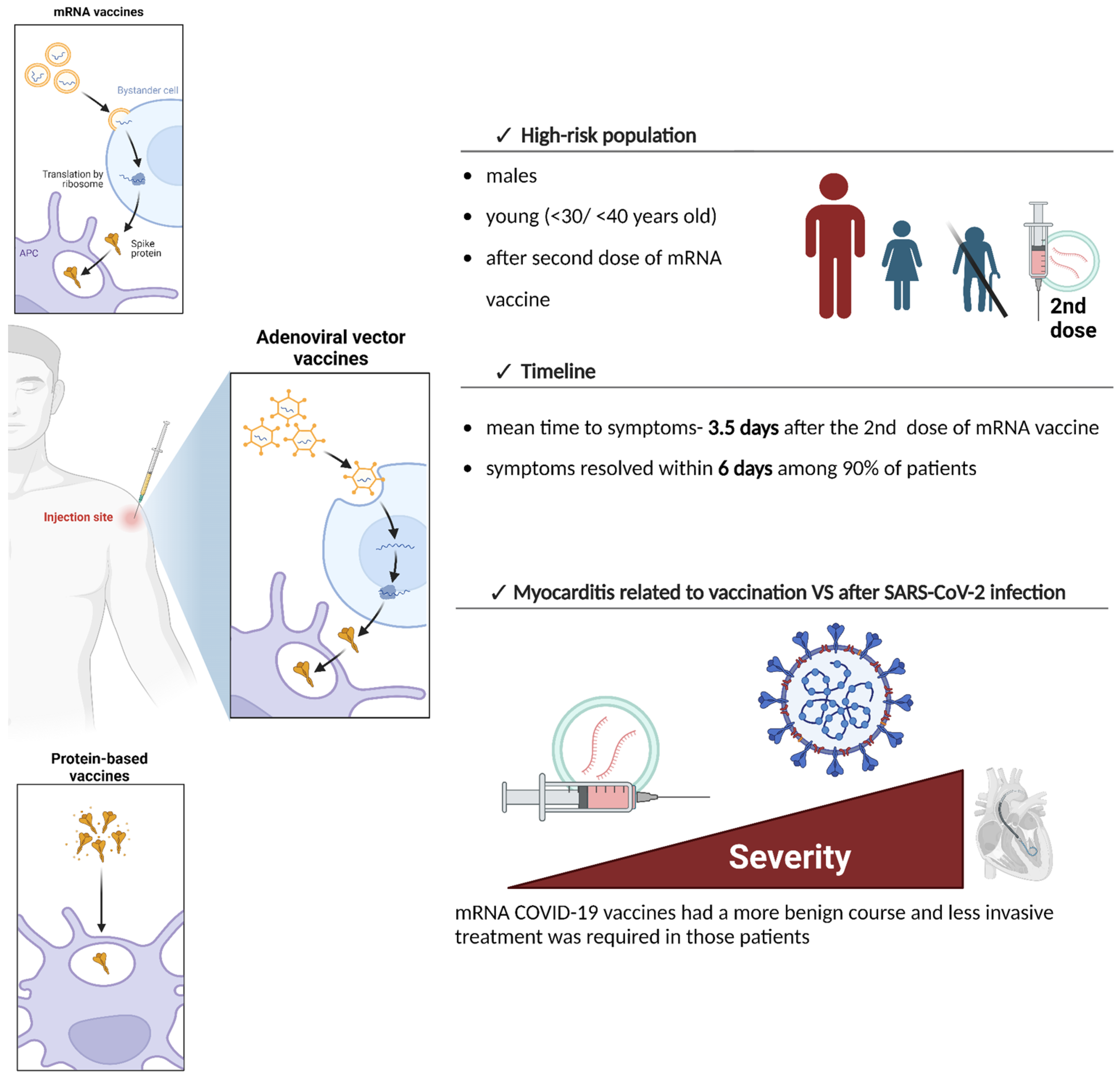 Vaccines 12 01193 g001