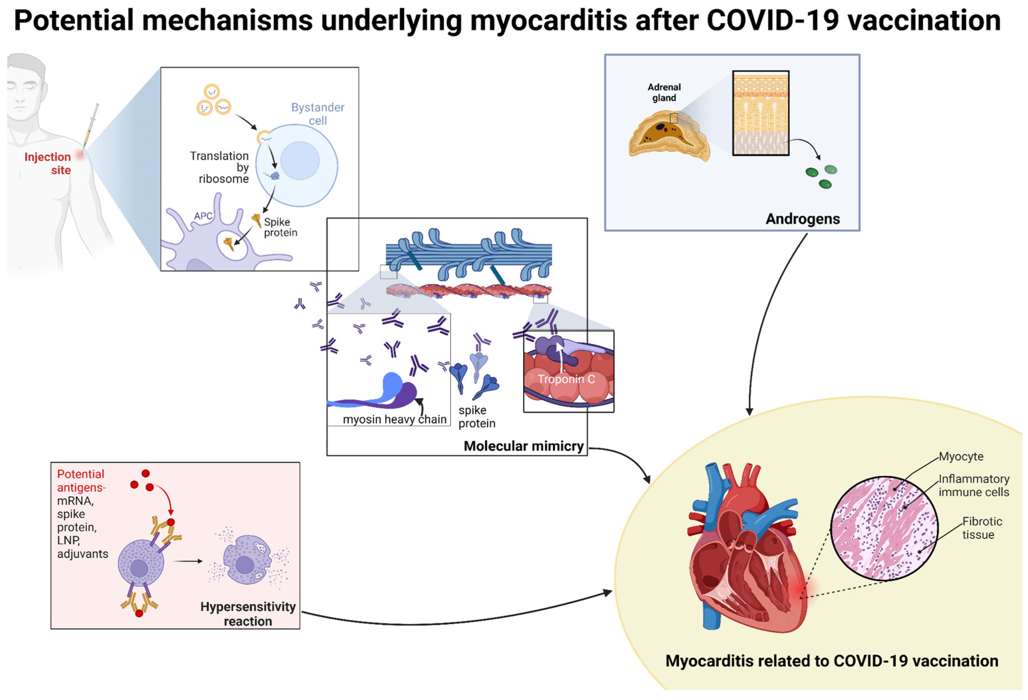 Vaccines 12 01193 g002