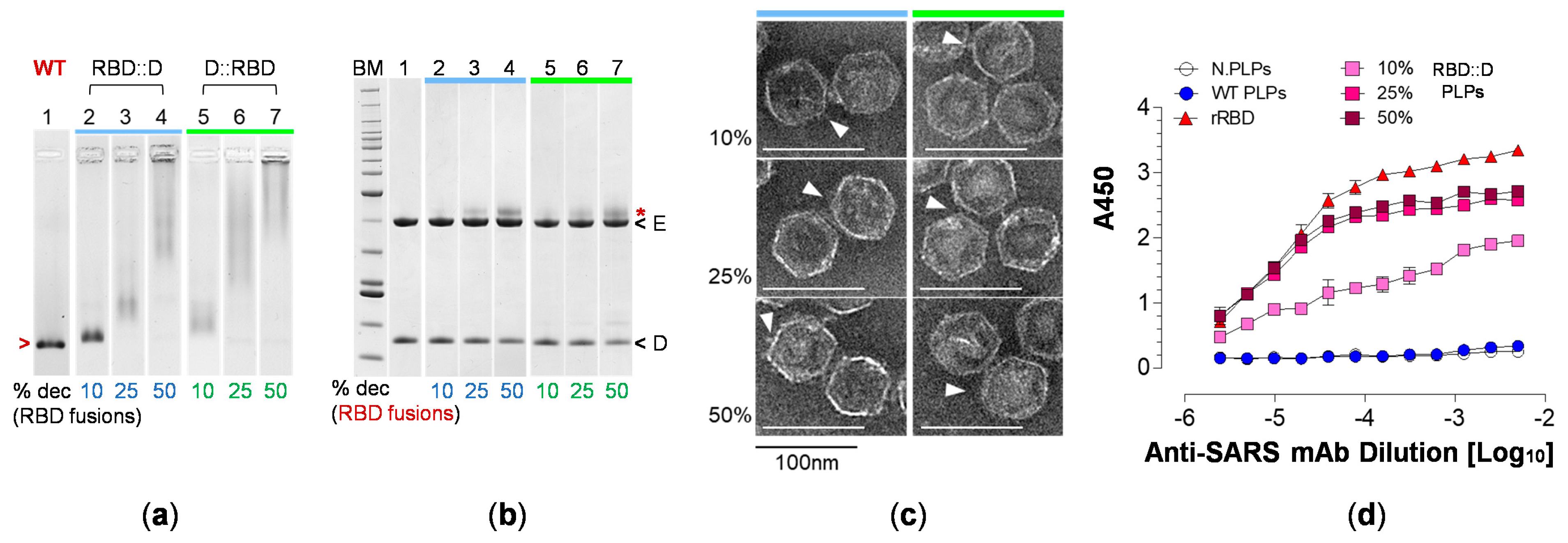 Vaccines 12 01201 g005