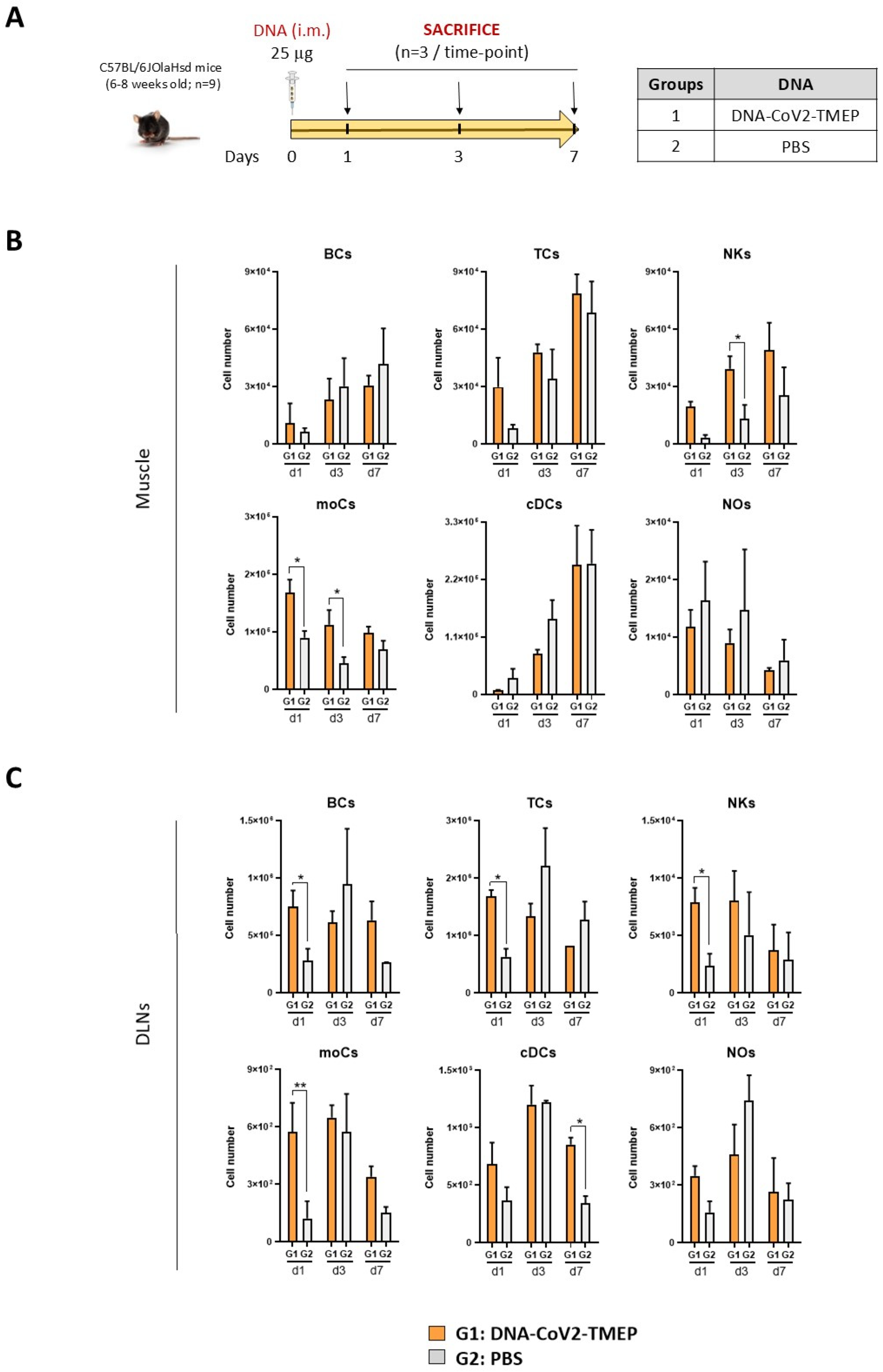 Vaccines 12 01213 g002