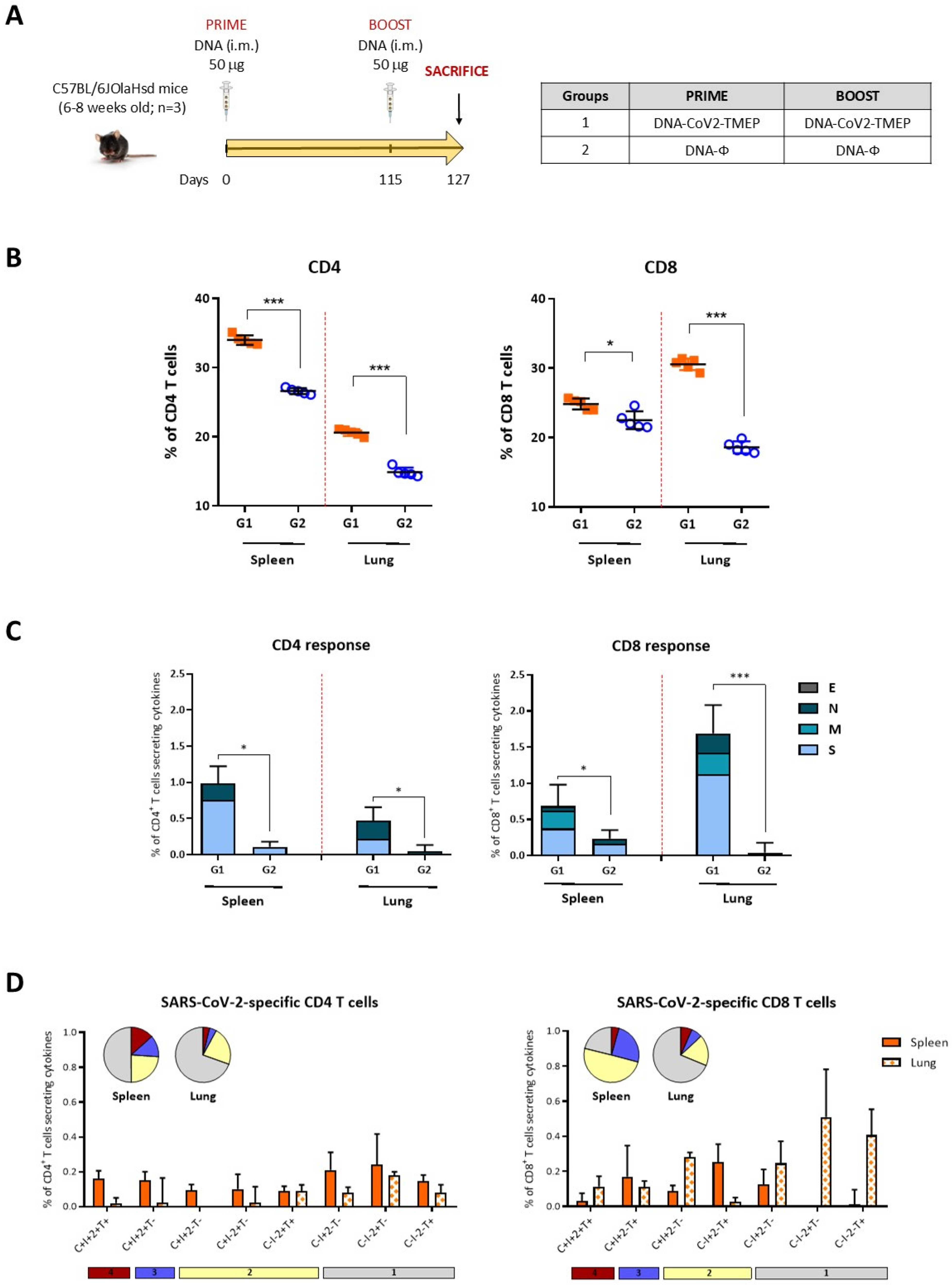 Vaccines 12 01213 g003