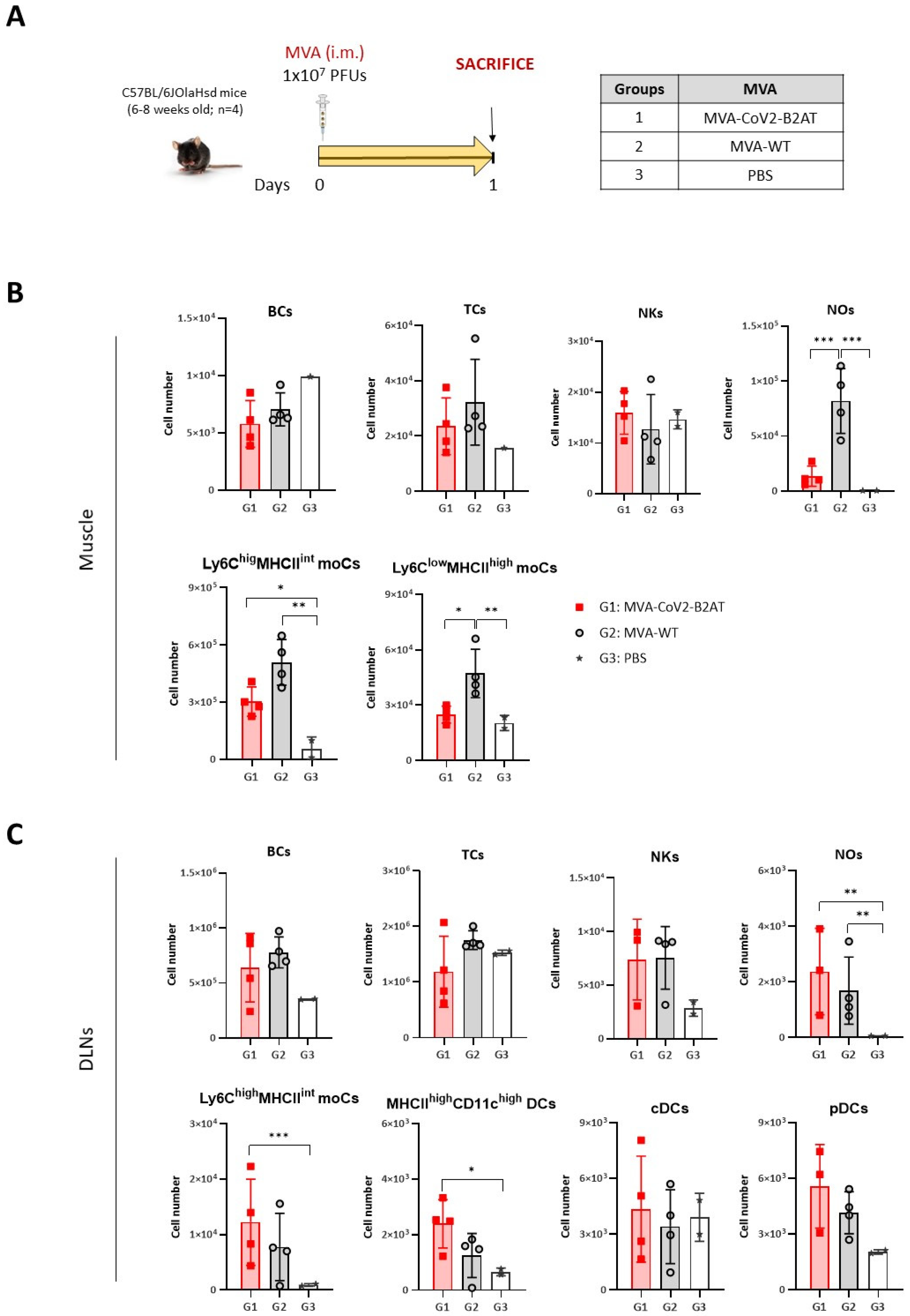 Vaccines 12 01213 g005