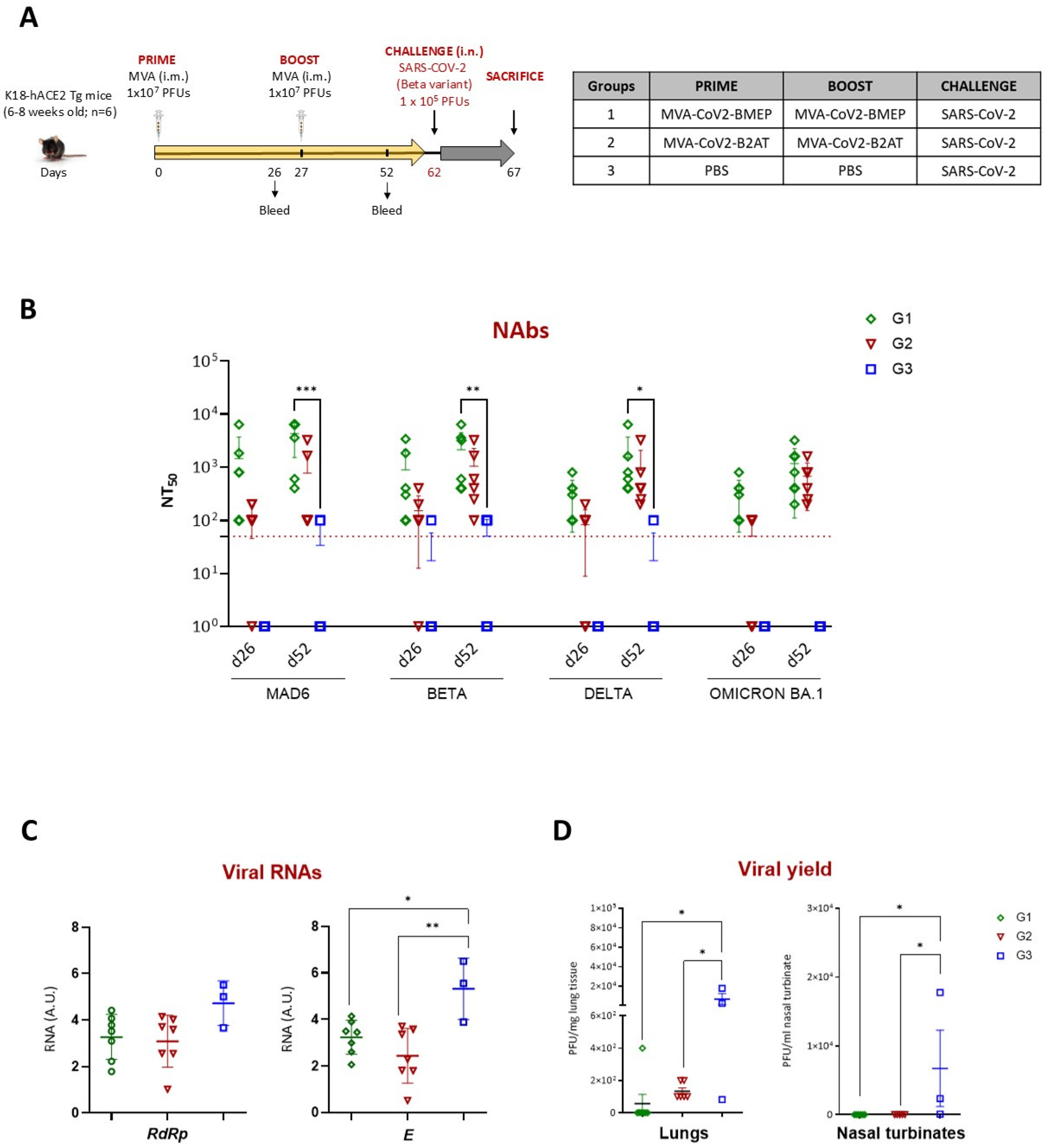 Vaccines 12 01213 g006