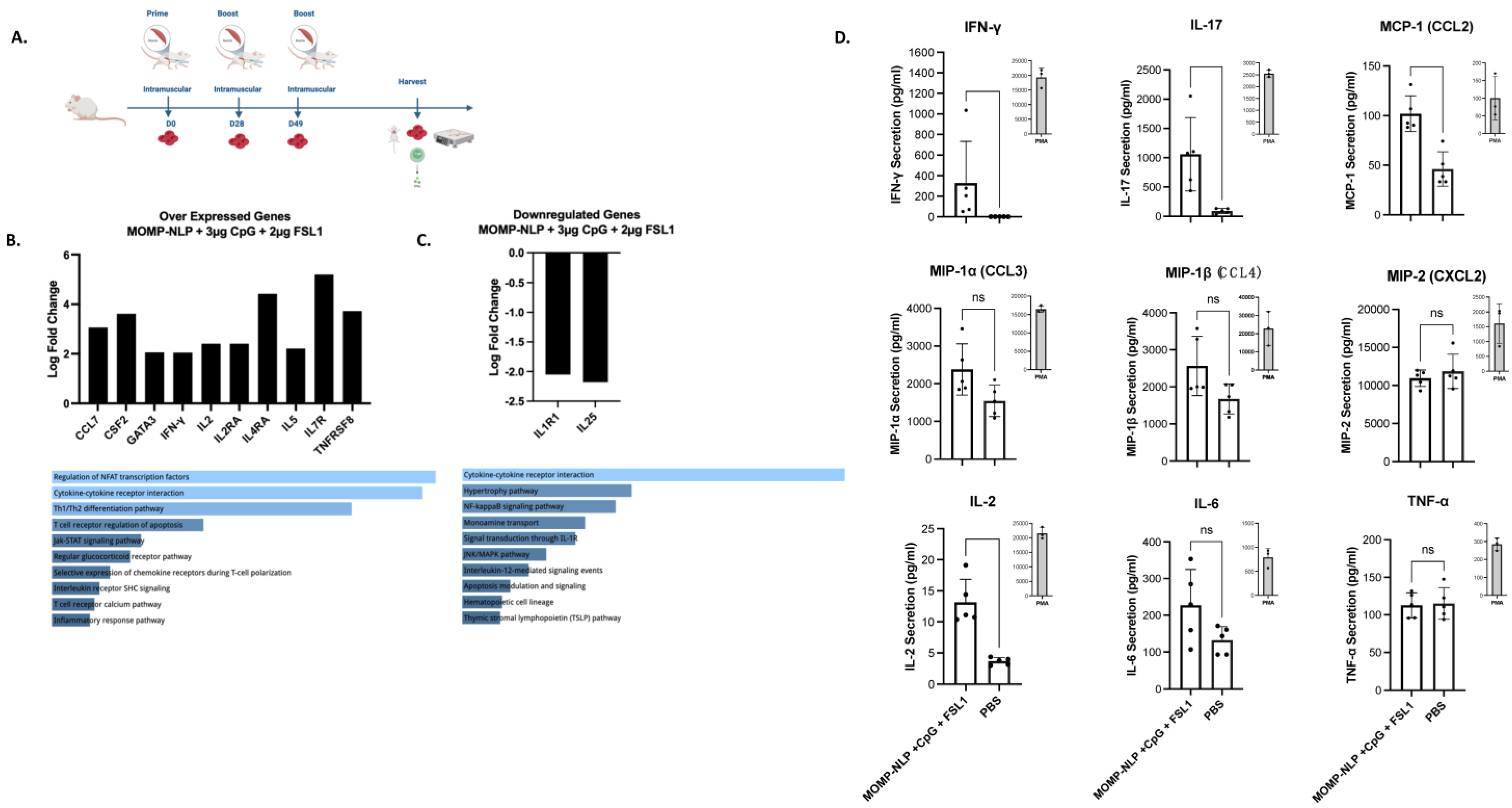 Vaccines 12 01246 g007