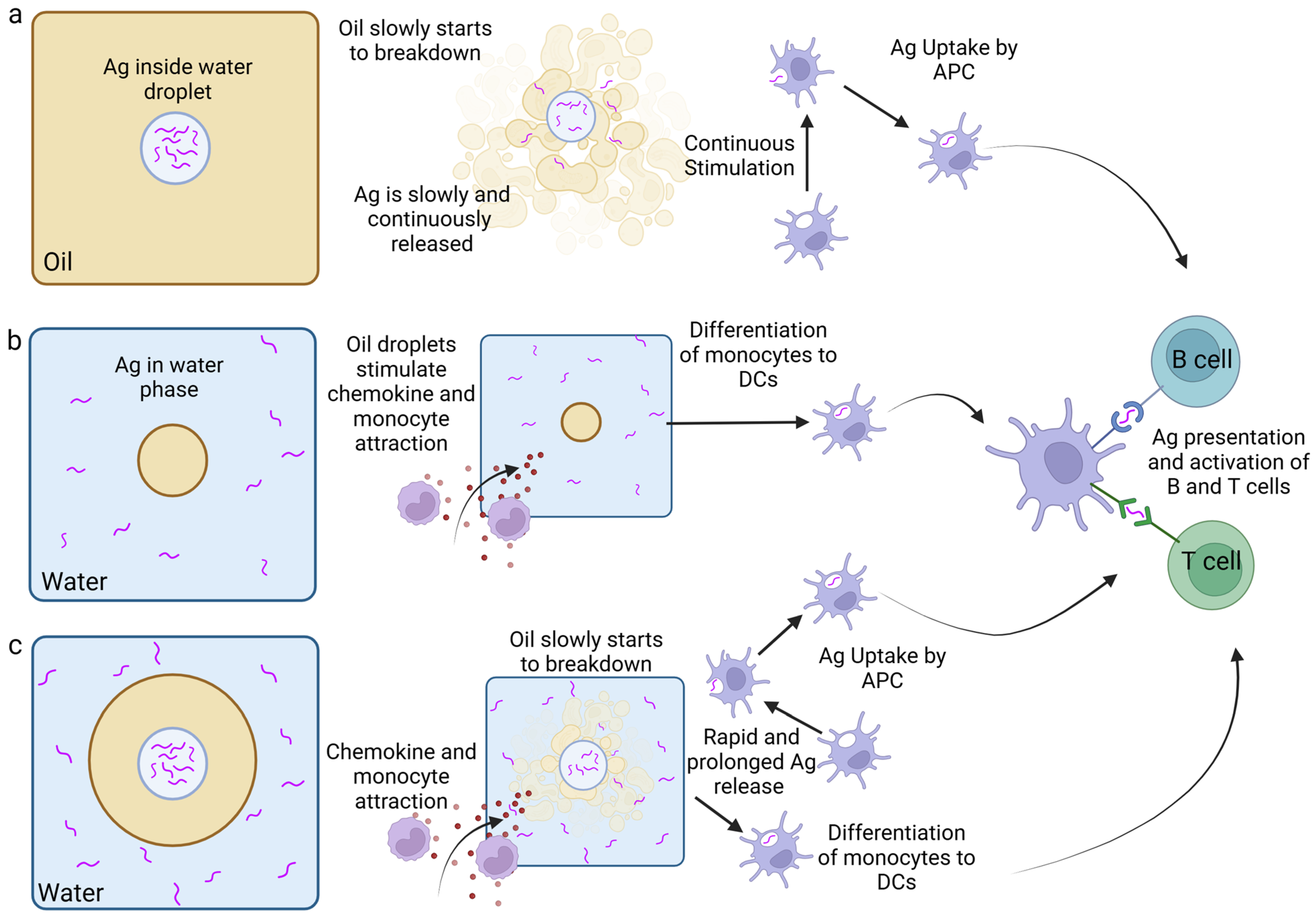 Vaccines 12 01337 g002