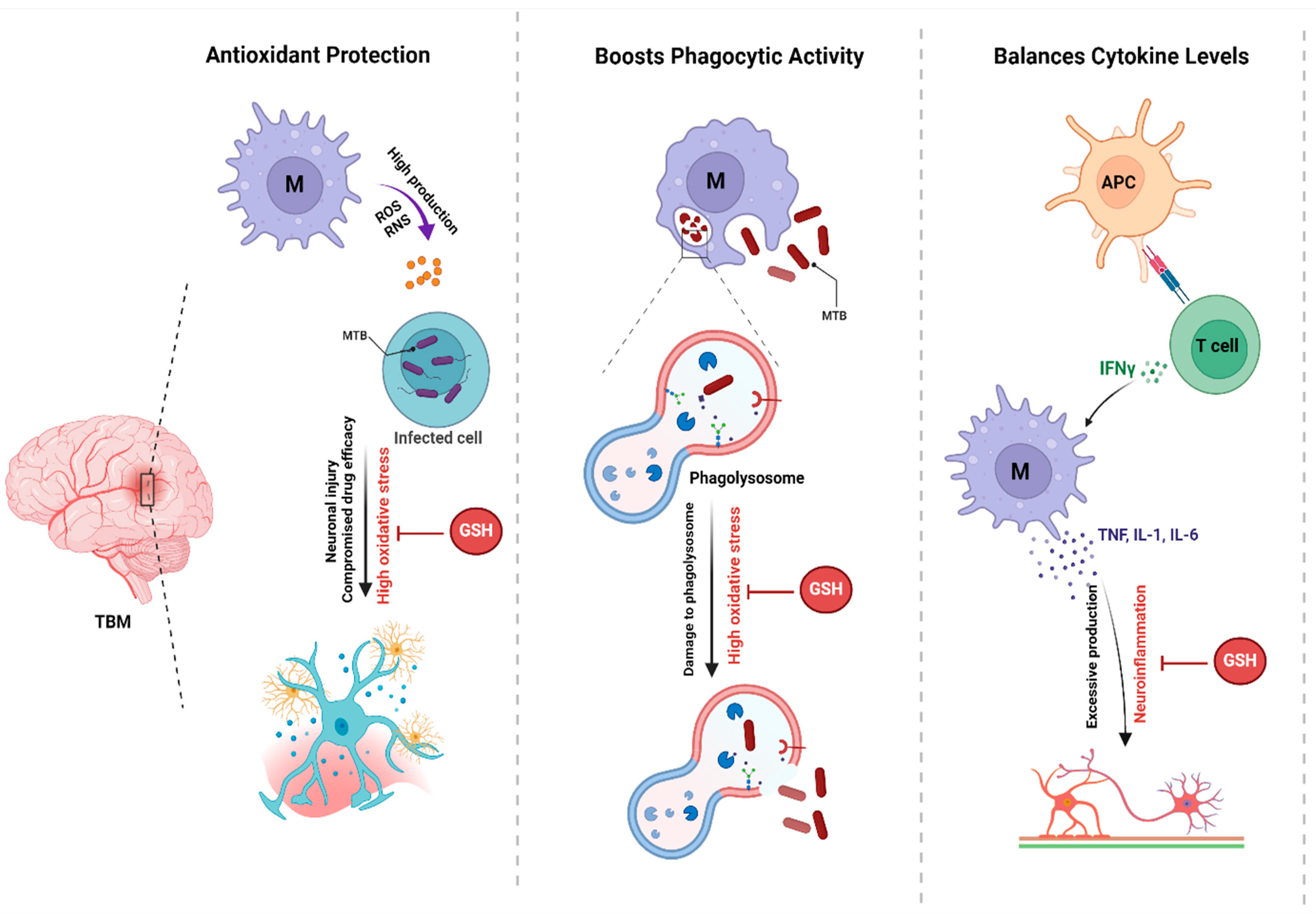 Vaccines 12 01397 g002
