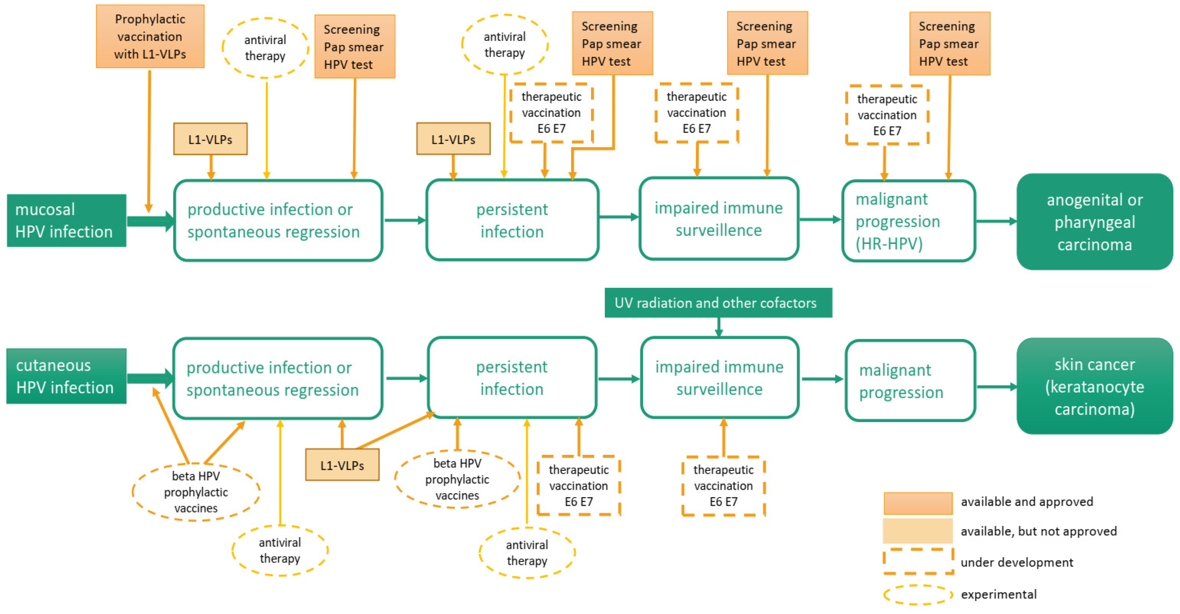 Vaccines 12 01439 g001
