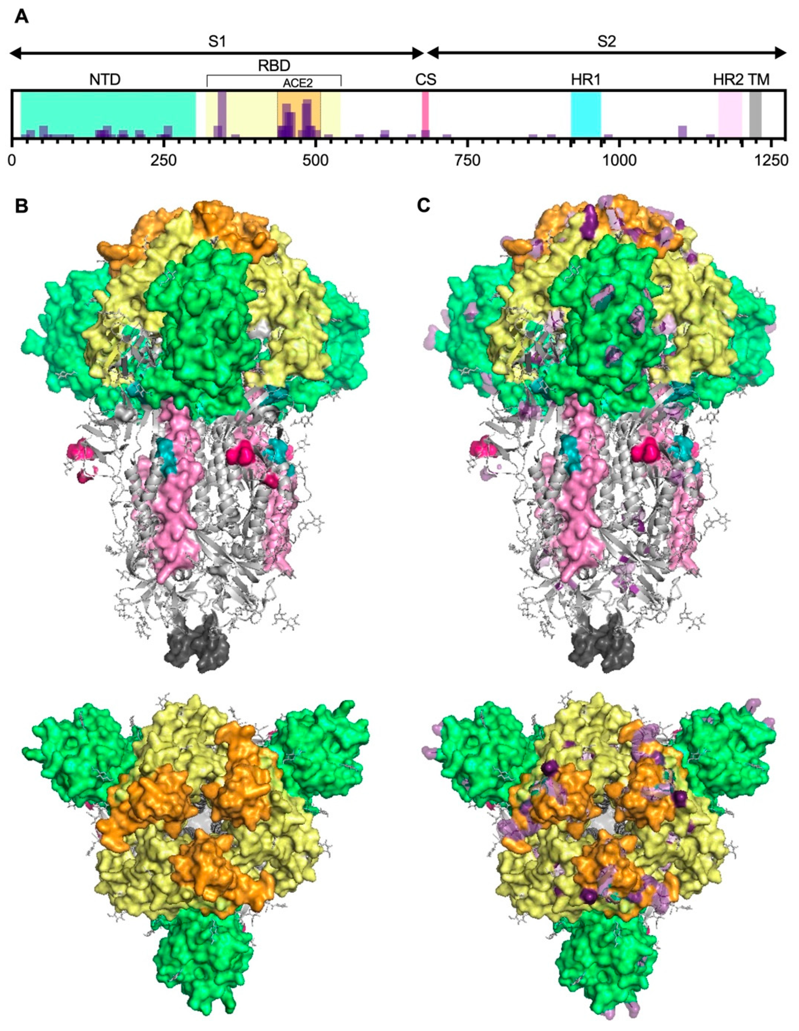 Vaccines 13 00017 g004