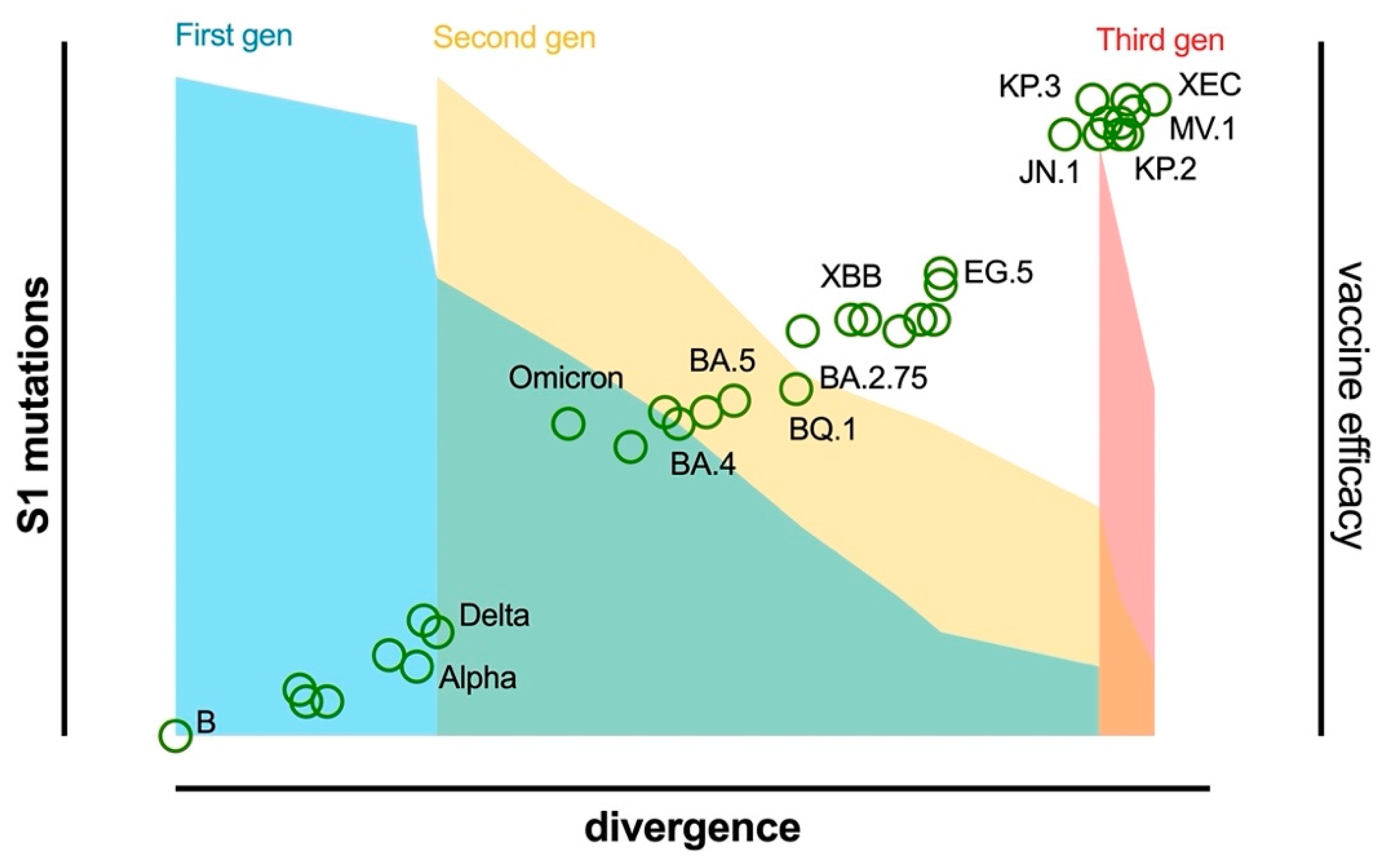 Vaccines 13 00017 g005