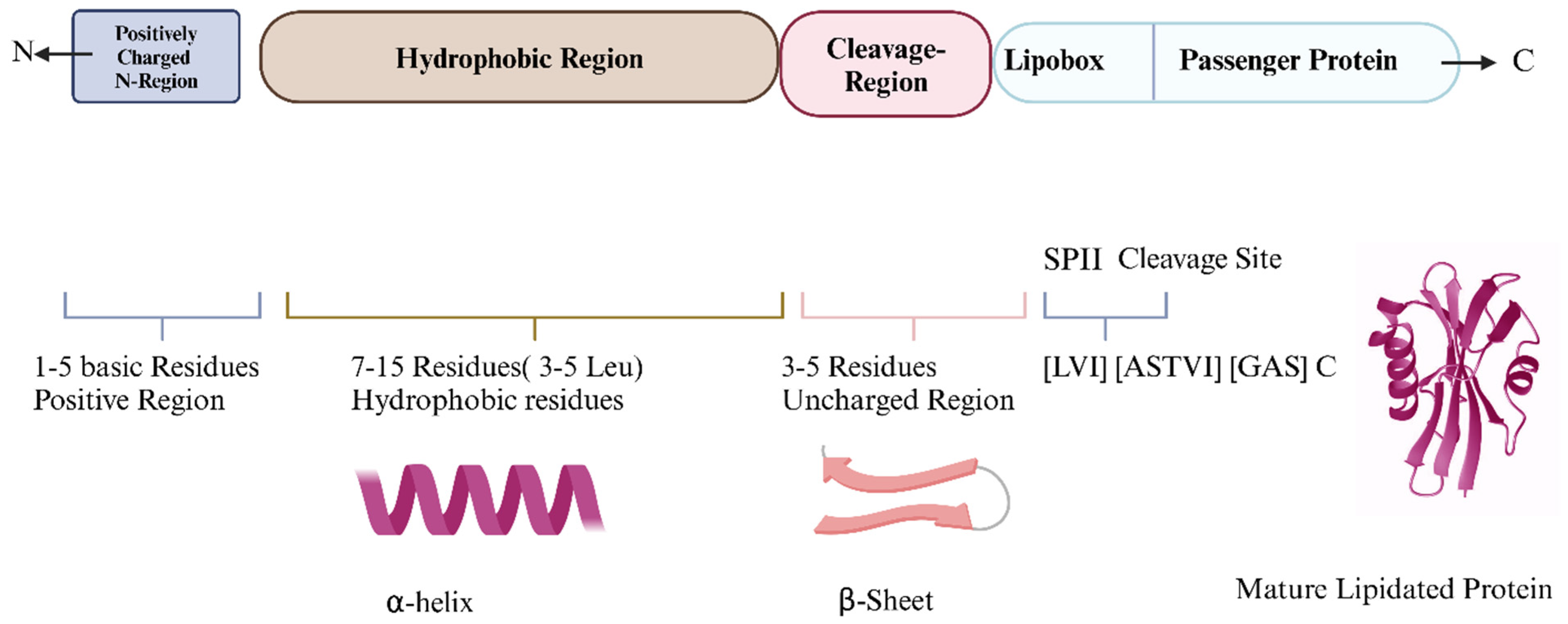 Vaccines 13 00036 g001 Vaccines 13 00036 g001