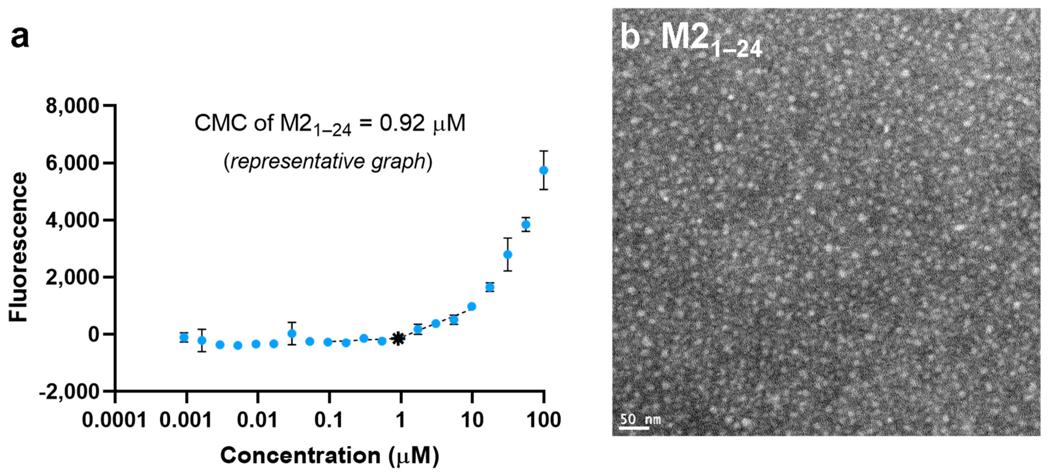 Vaccines 13 00051 g001a Vaccines 13 00051 g001a