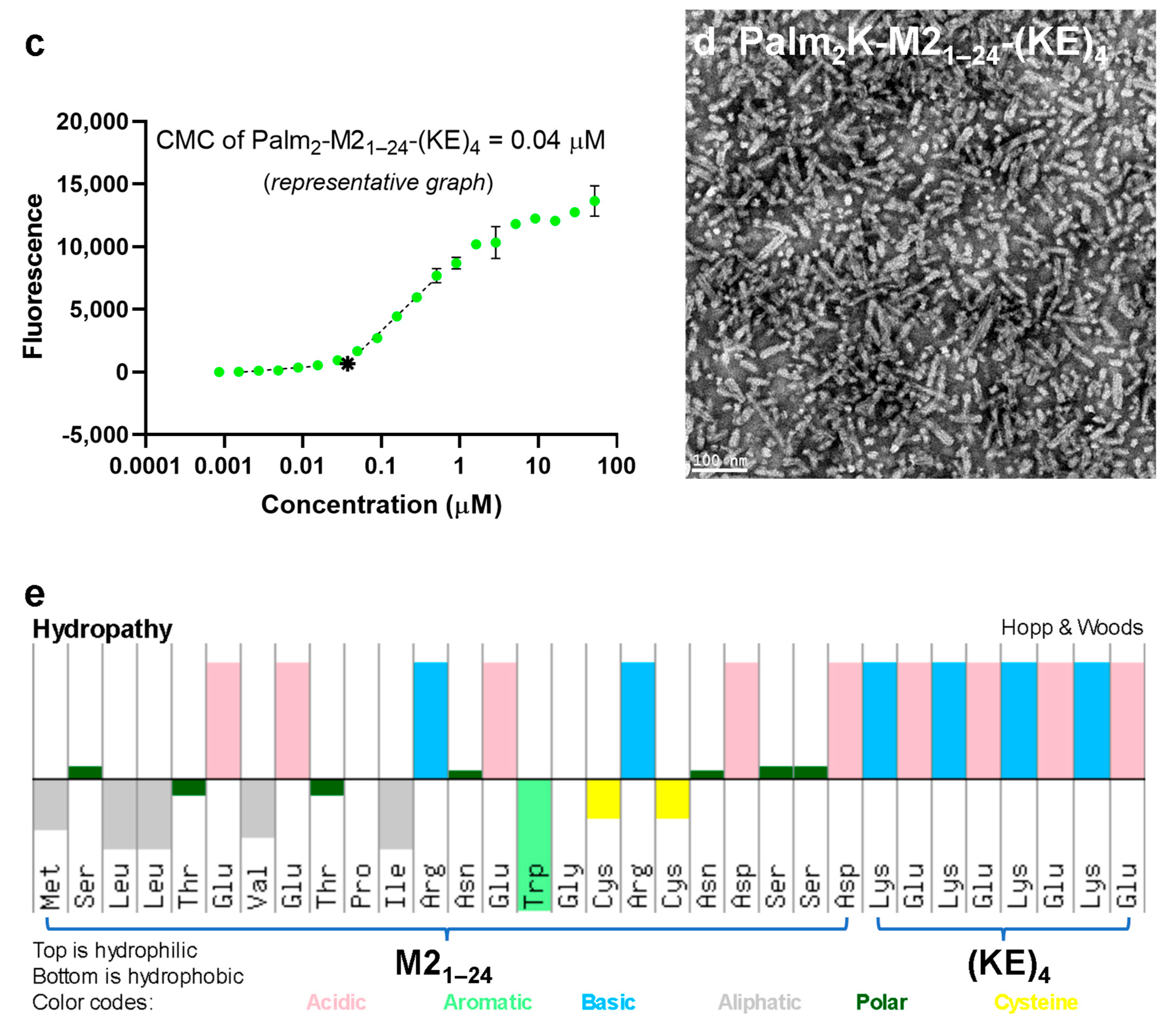 Vaccines 13 00051 g001b Vaccines 13 00051 g001b