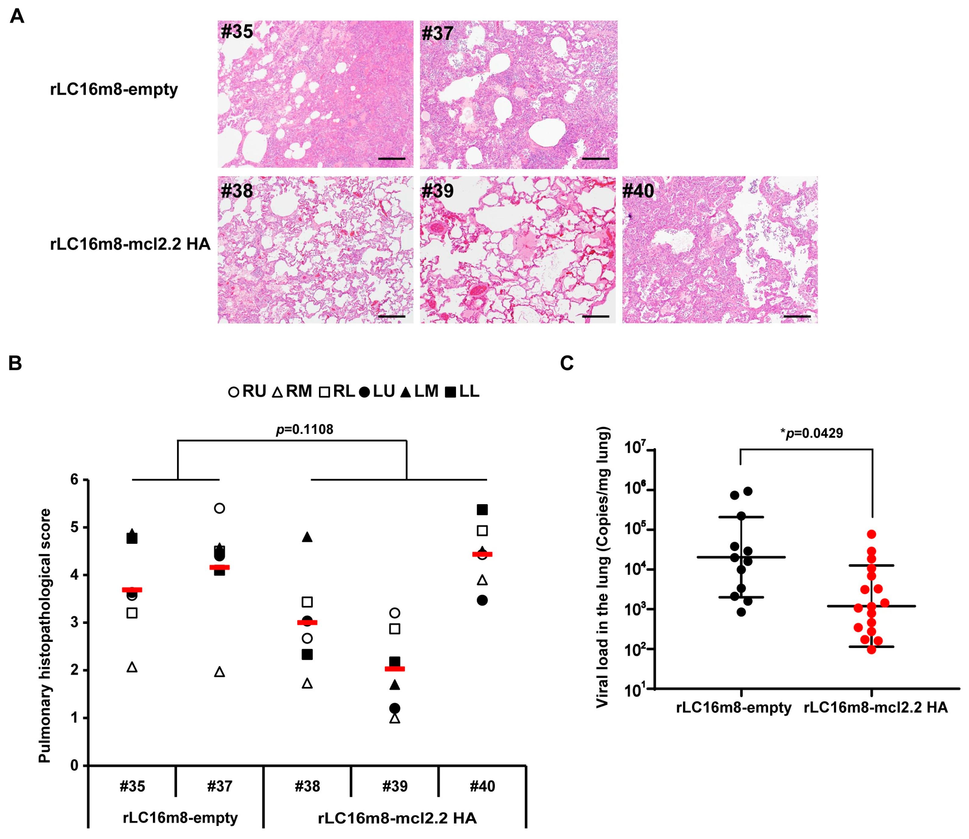 Vaccines 13 00074 g005