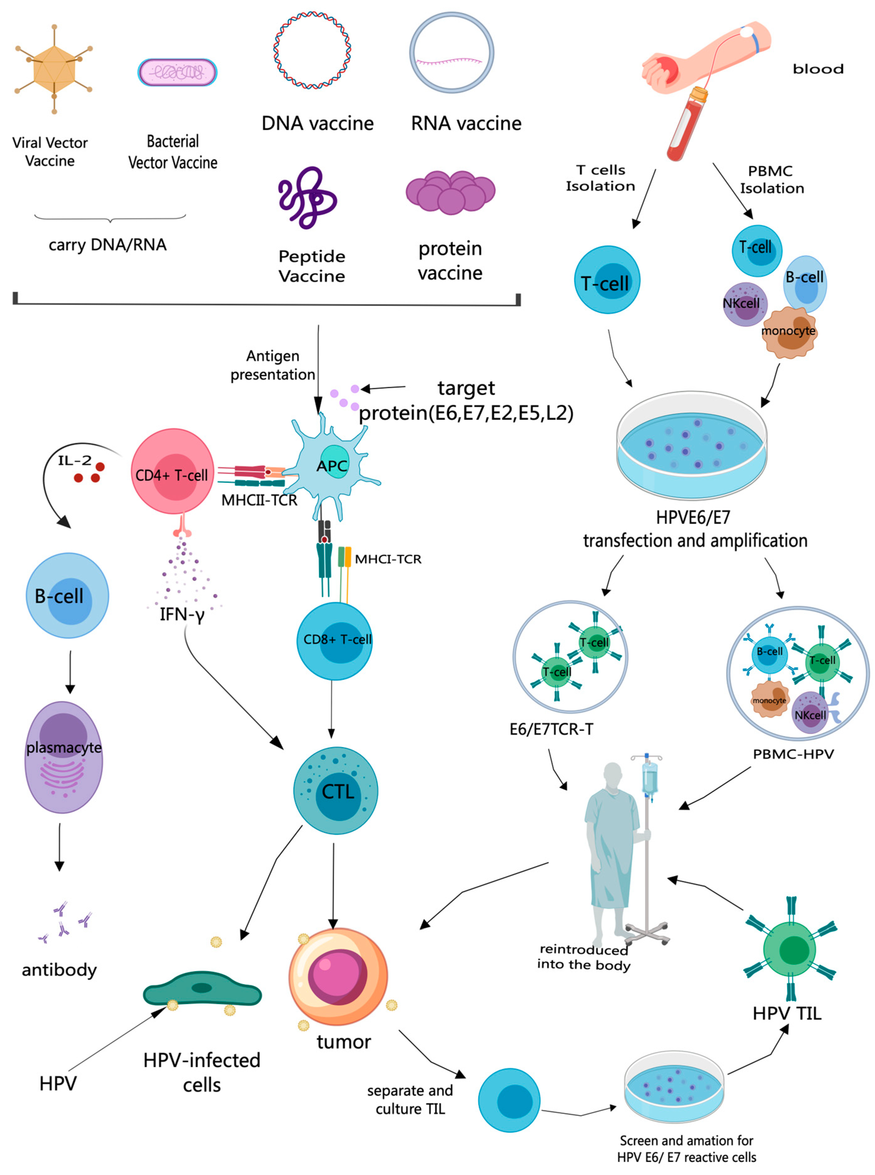 Vaccines 13 00092 g001