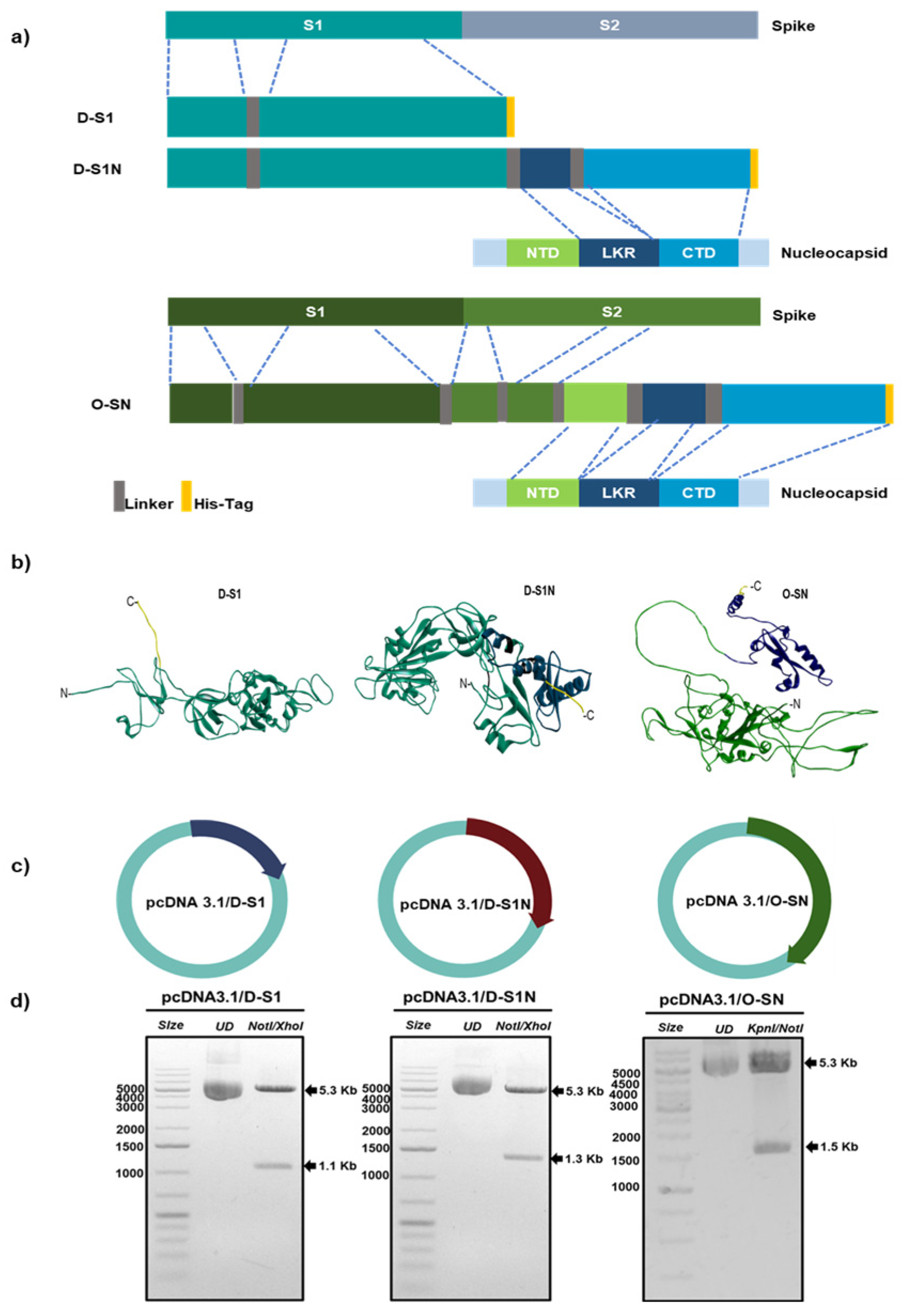 Vaccines 13 00134 g001
