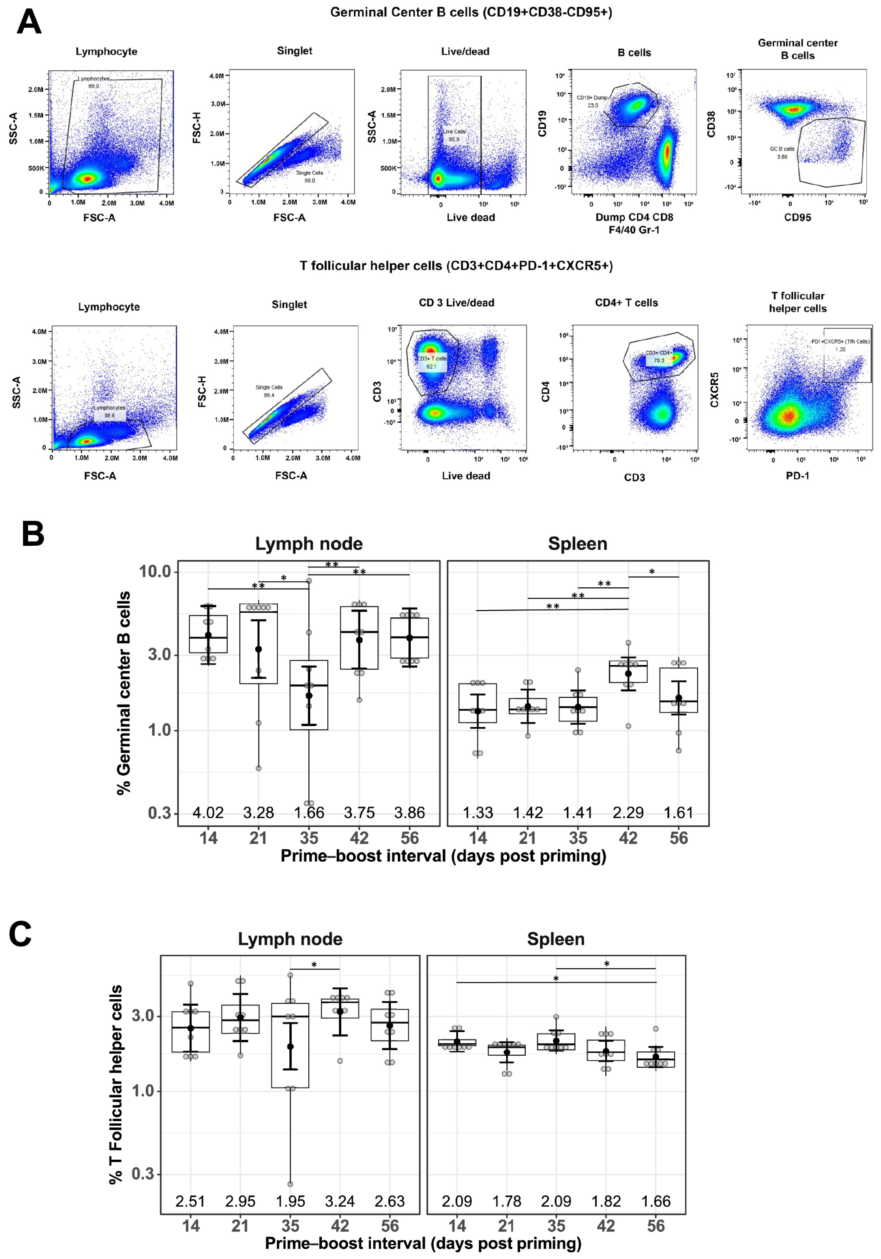 Vaccines 13 00263 g002
