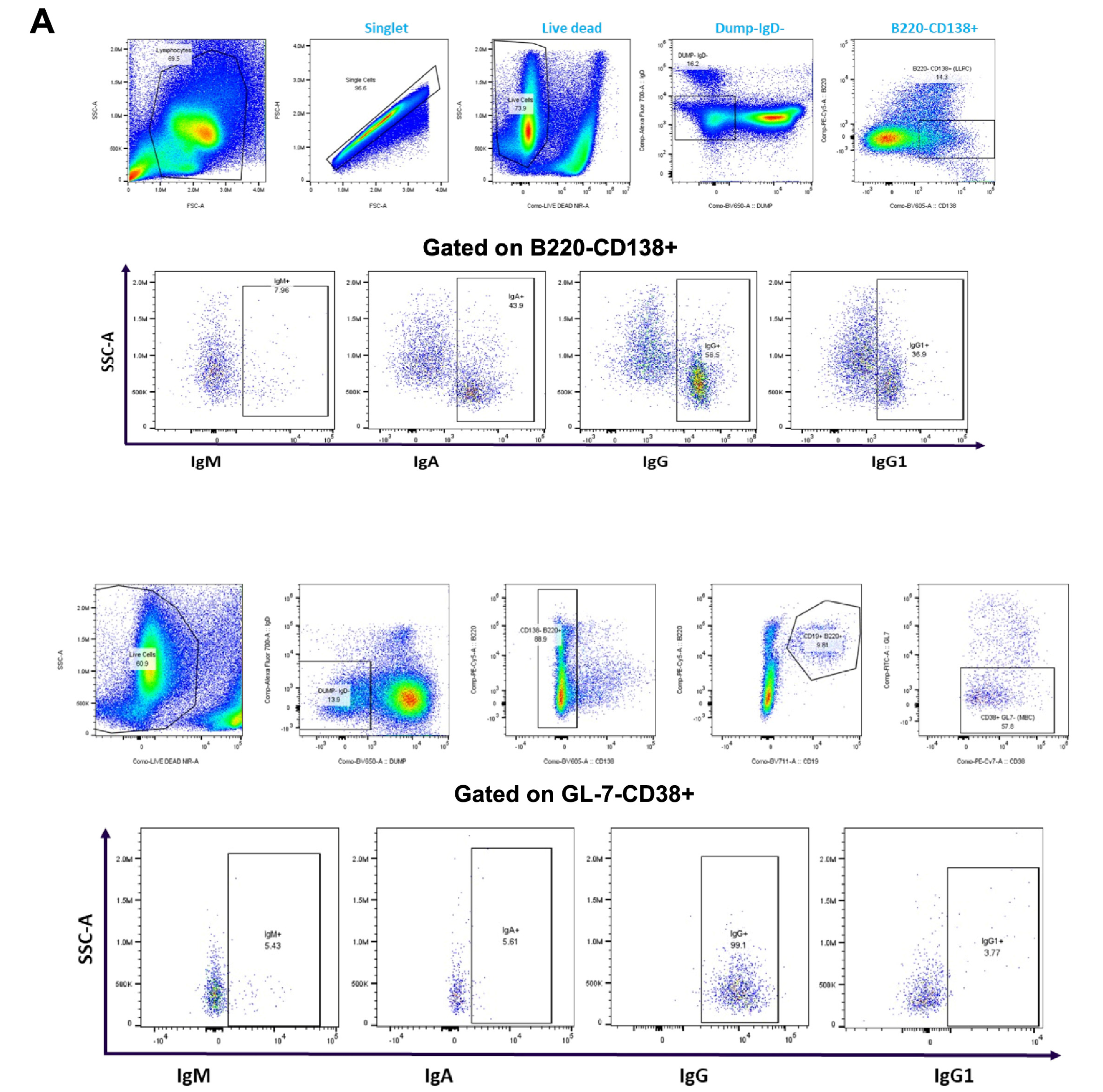 Vaccines 13 00263 g004a