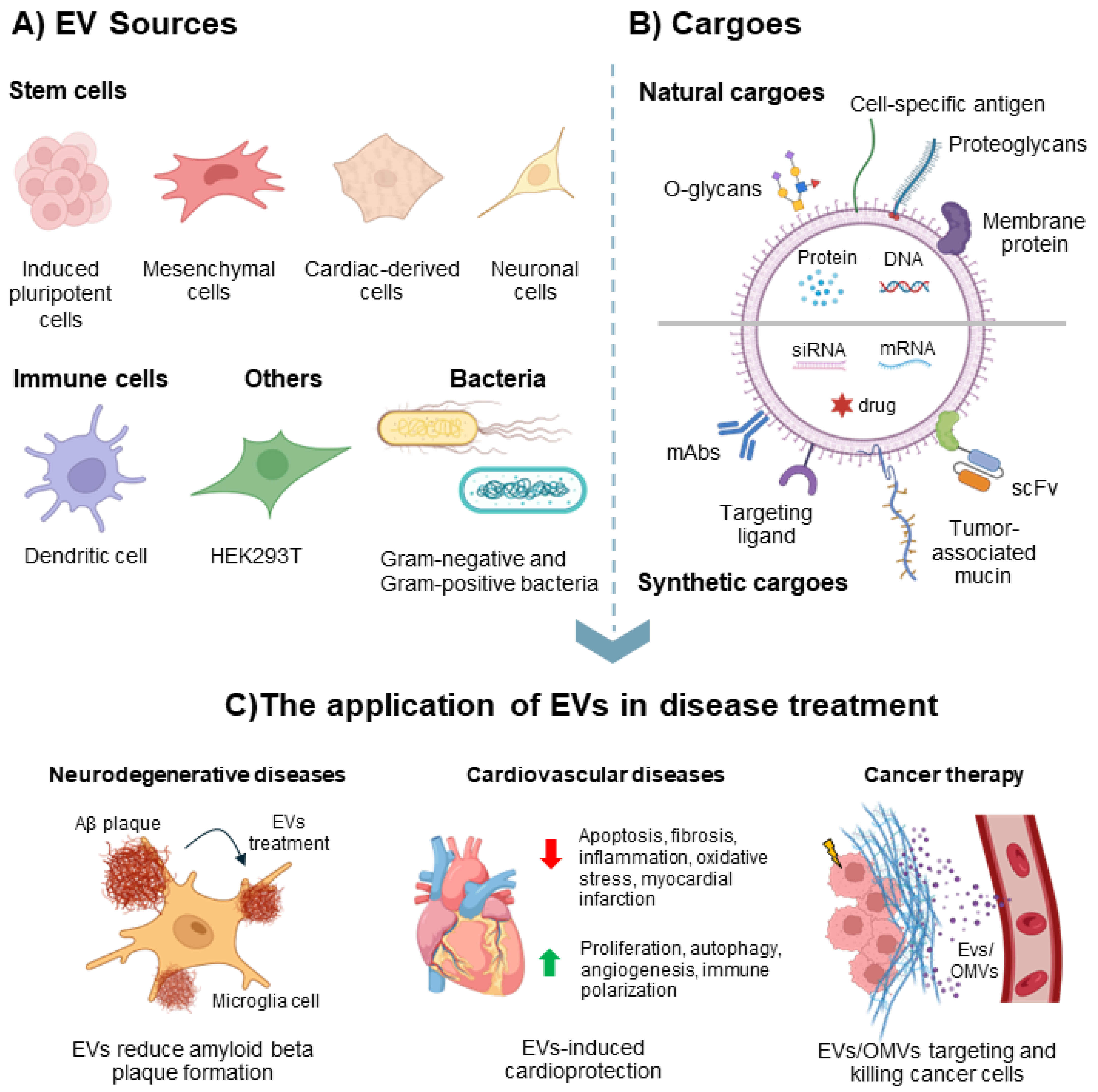 Vaccines 13 00285 g003
