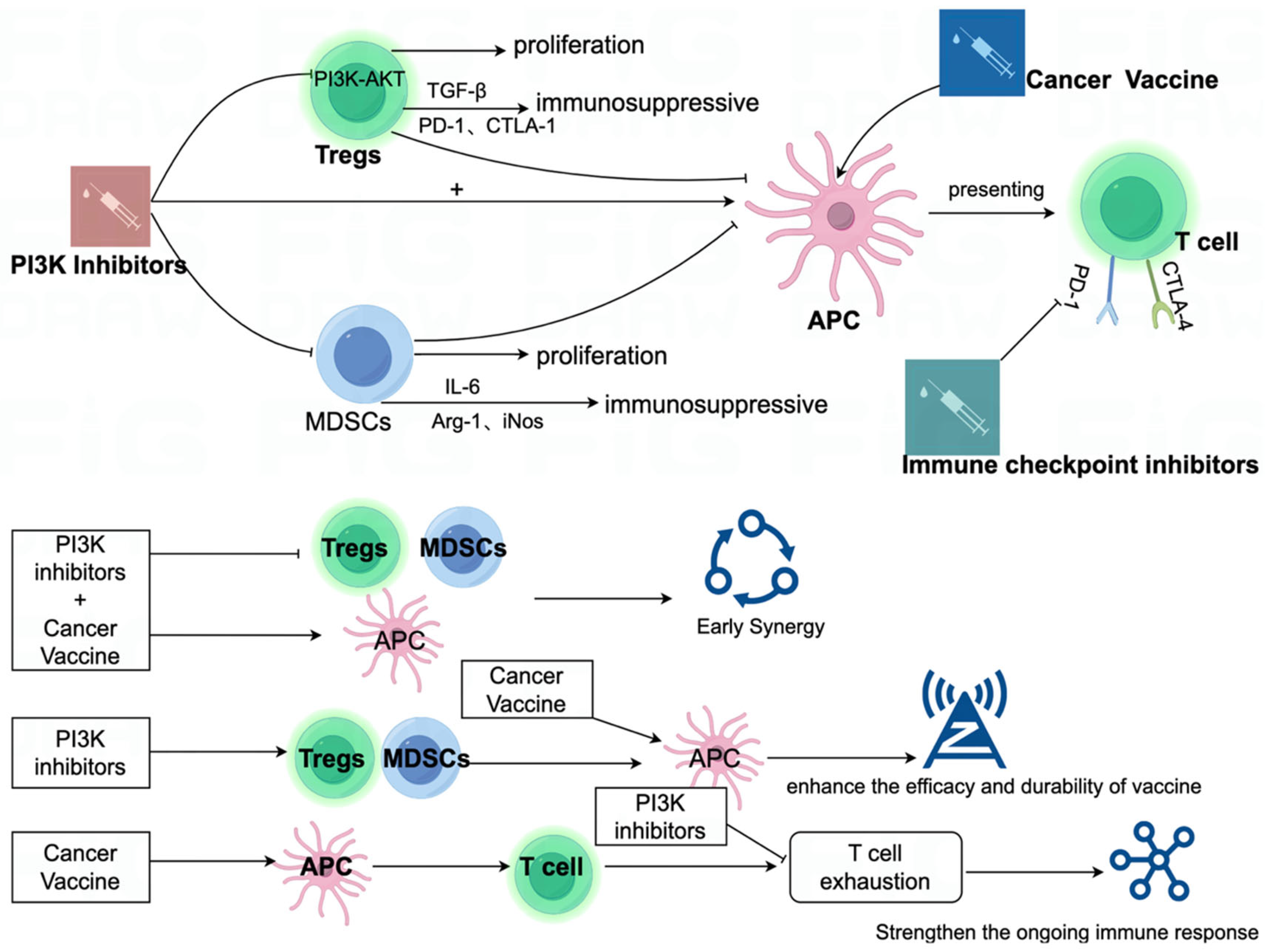 Vaccines 13 00292 g004