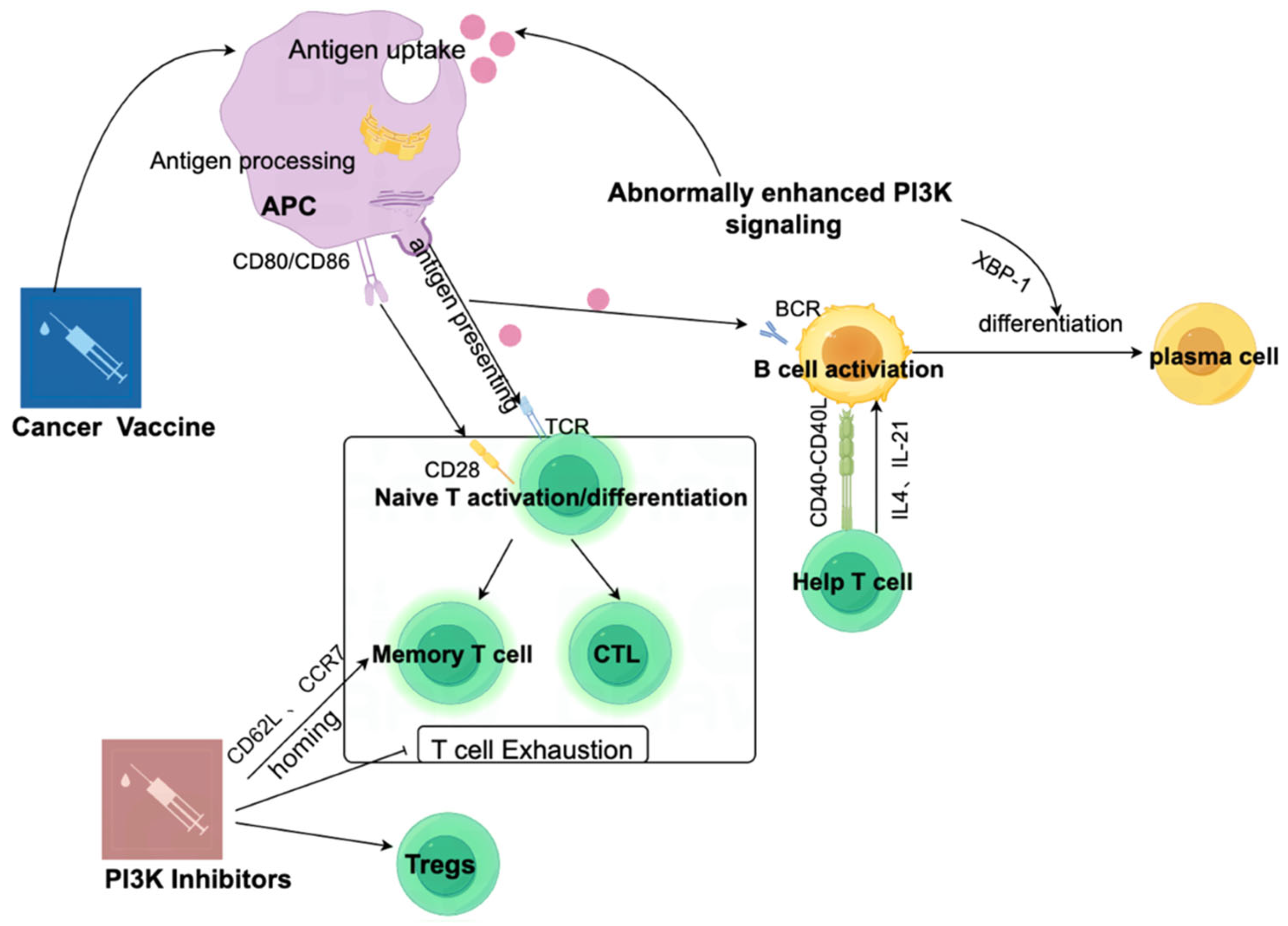 Vaccines 13 00292 g005