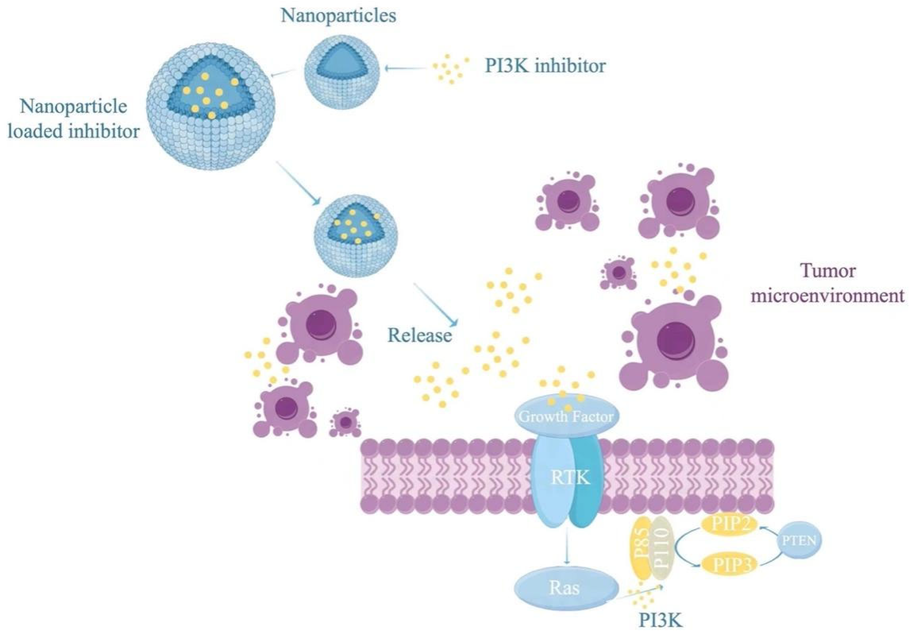 Vaccines 13 00292 g006