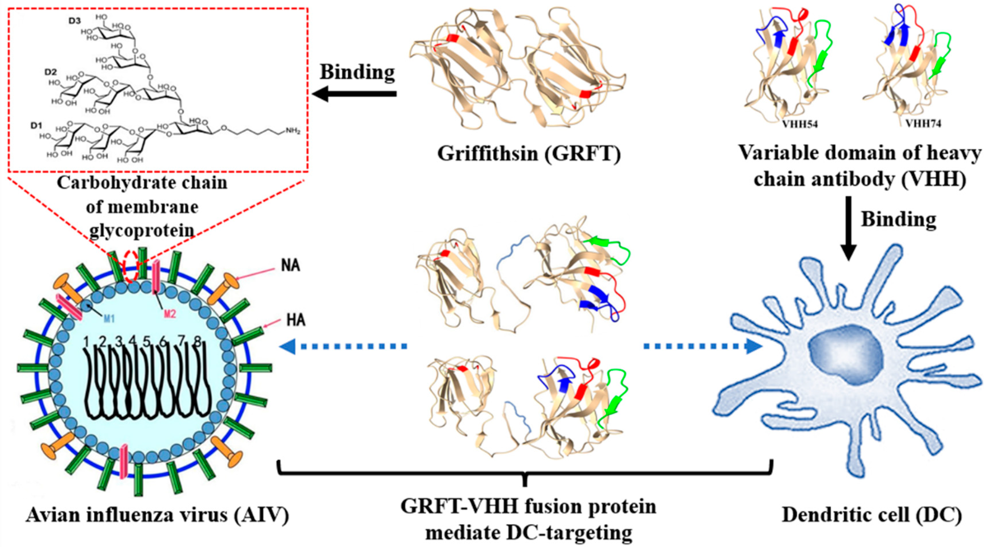 Vaccines 13 00294 g001