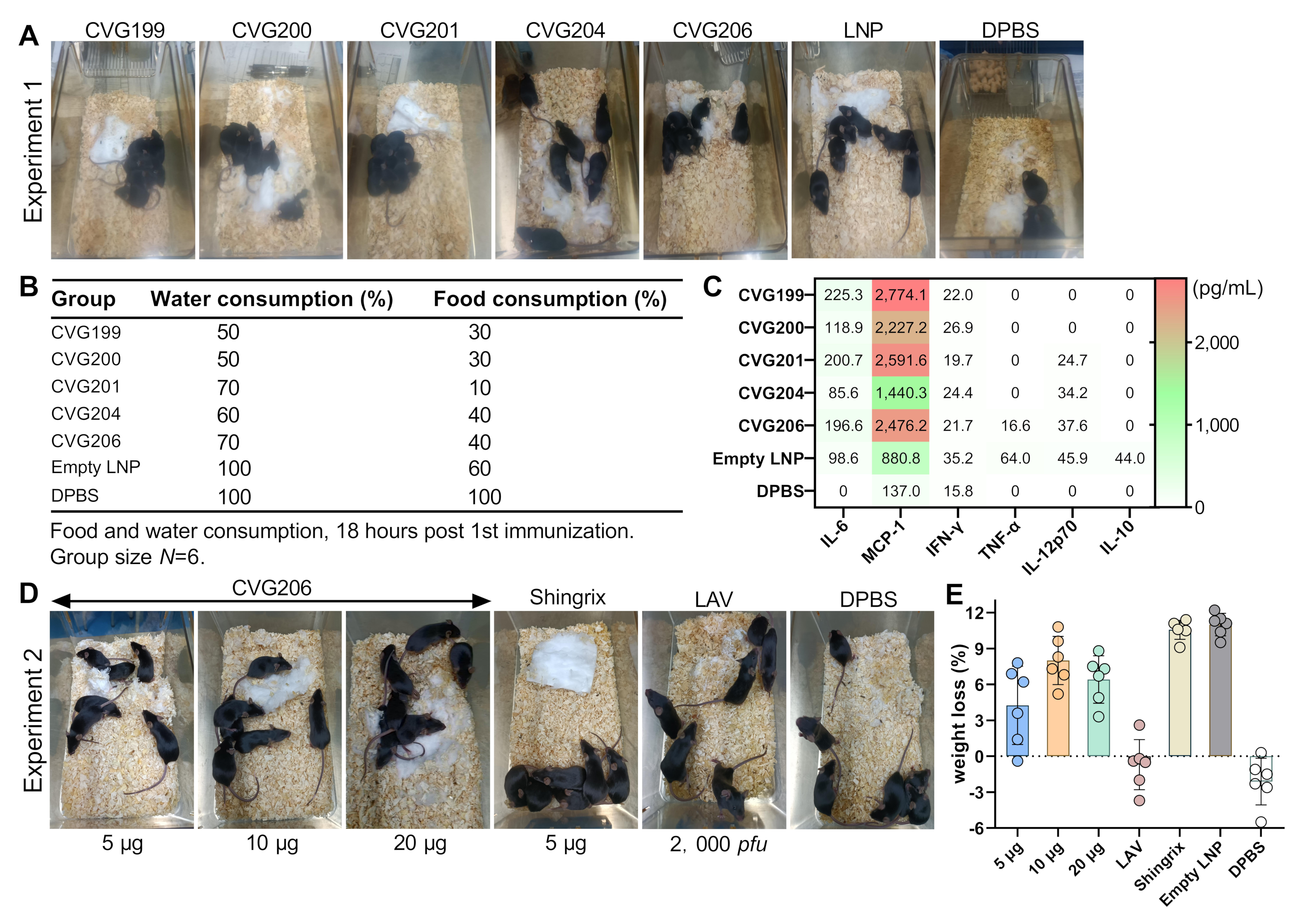 Vaccines 13 00327 g002