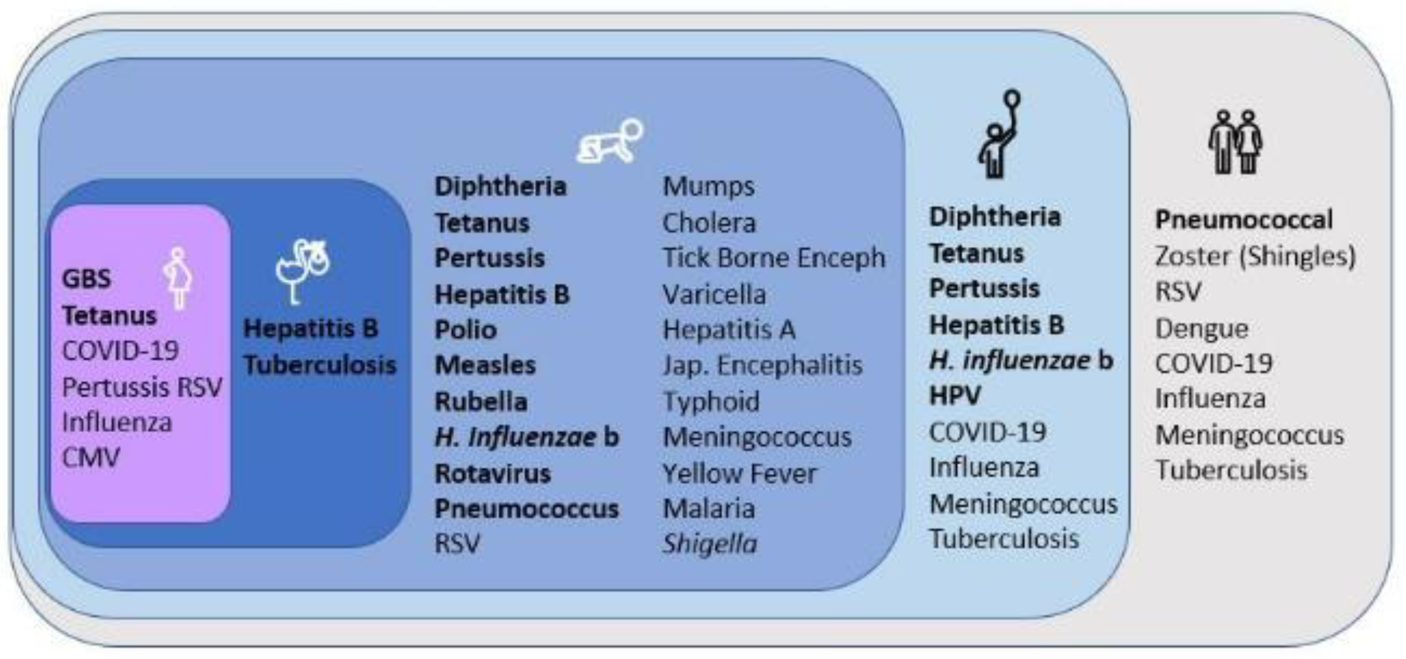Vaccines 13 00335 g001