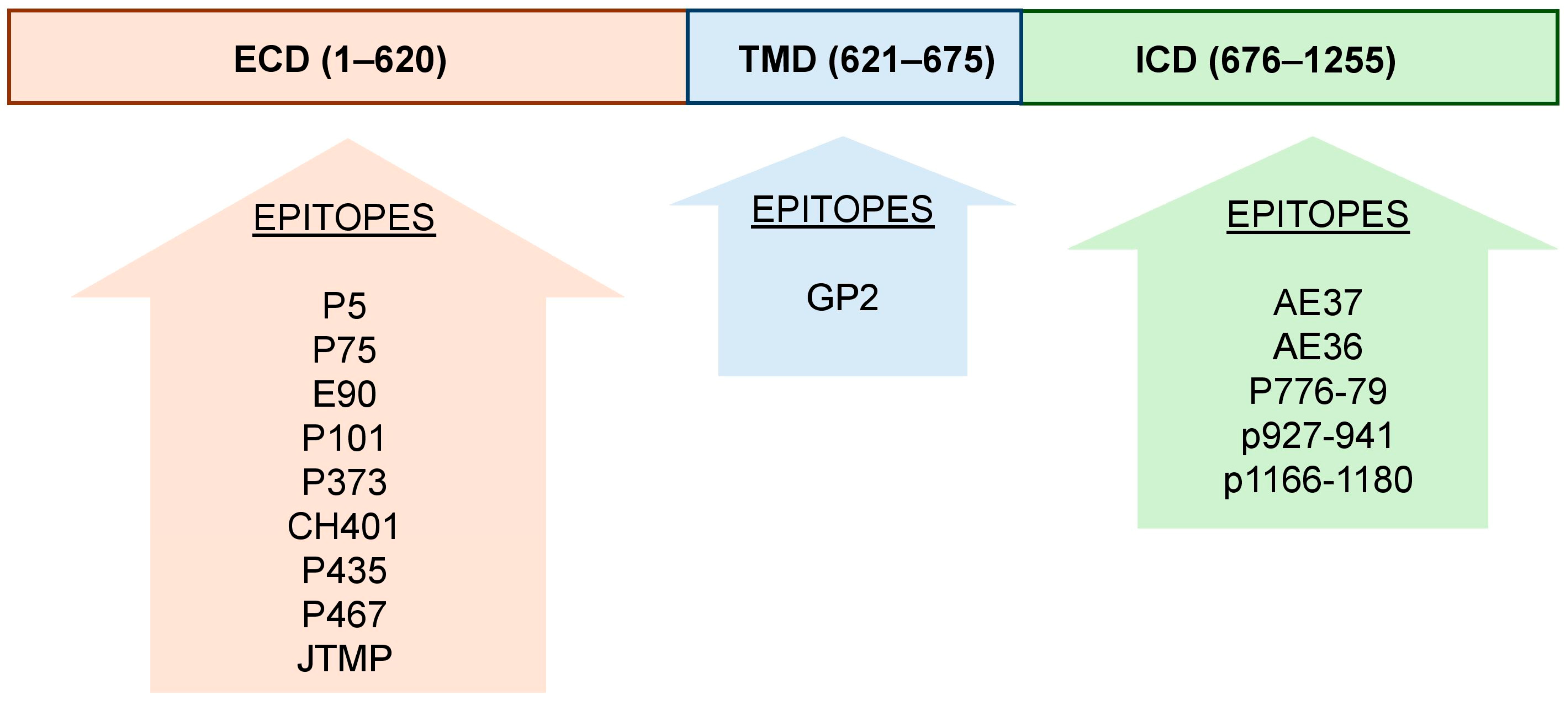 Vaccines 13 00344 g001 Vaccines 13 00344 g001