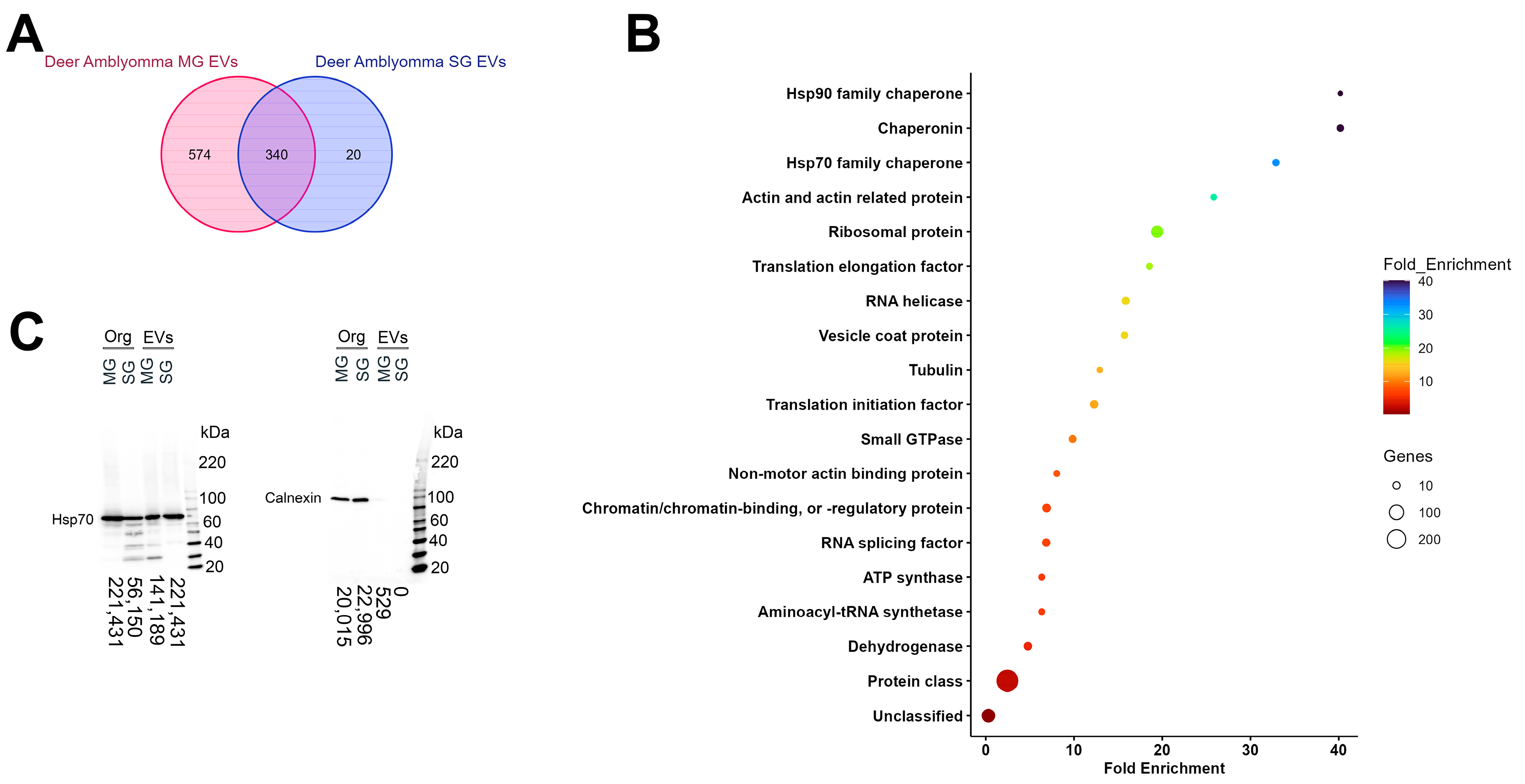 Vaccines 13 00355 g001