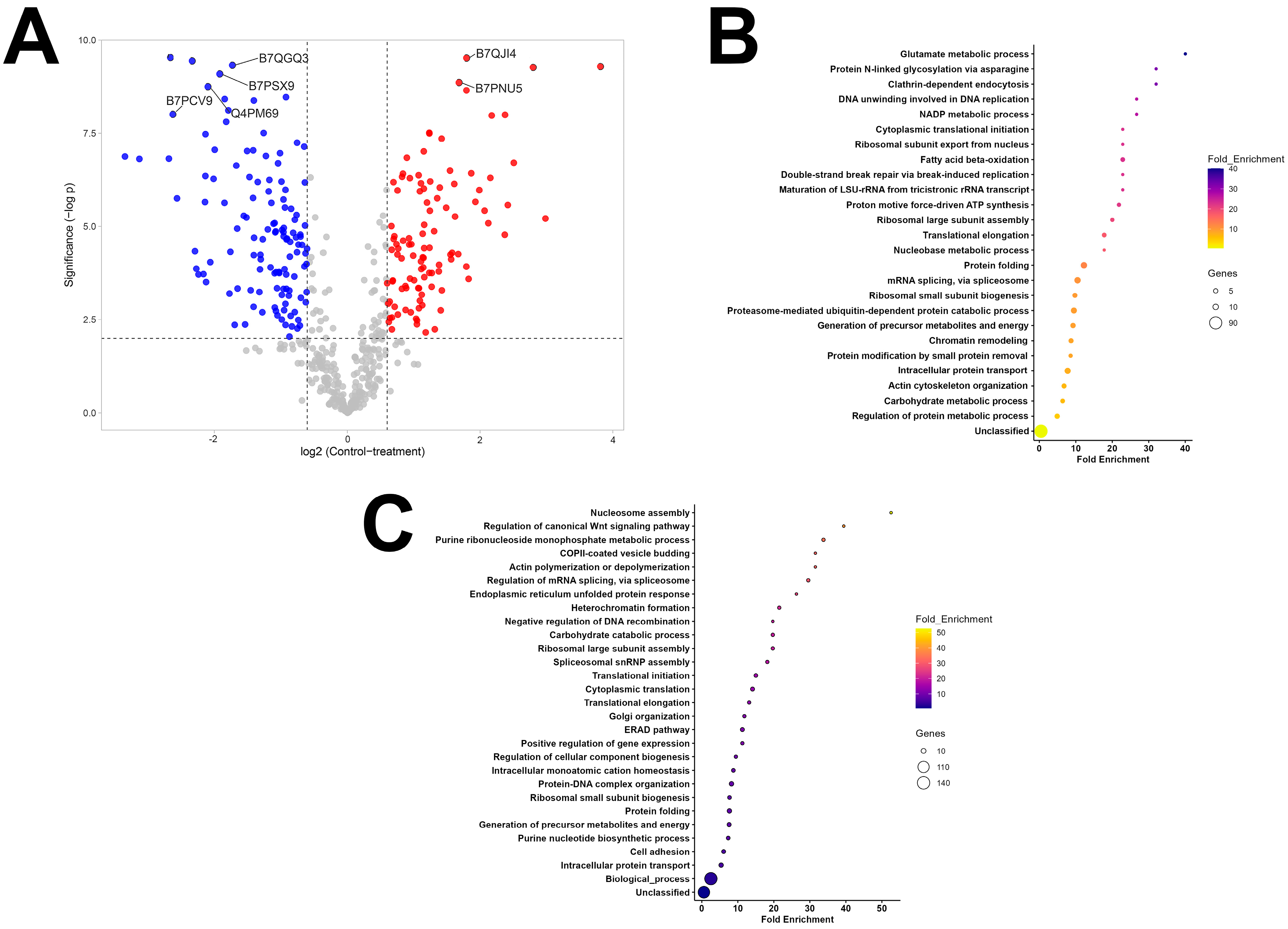 Vaccines 13 00355 g003