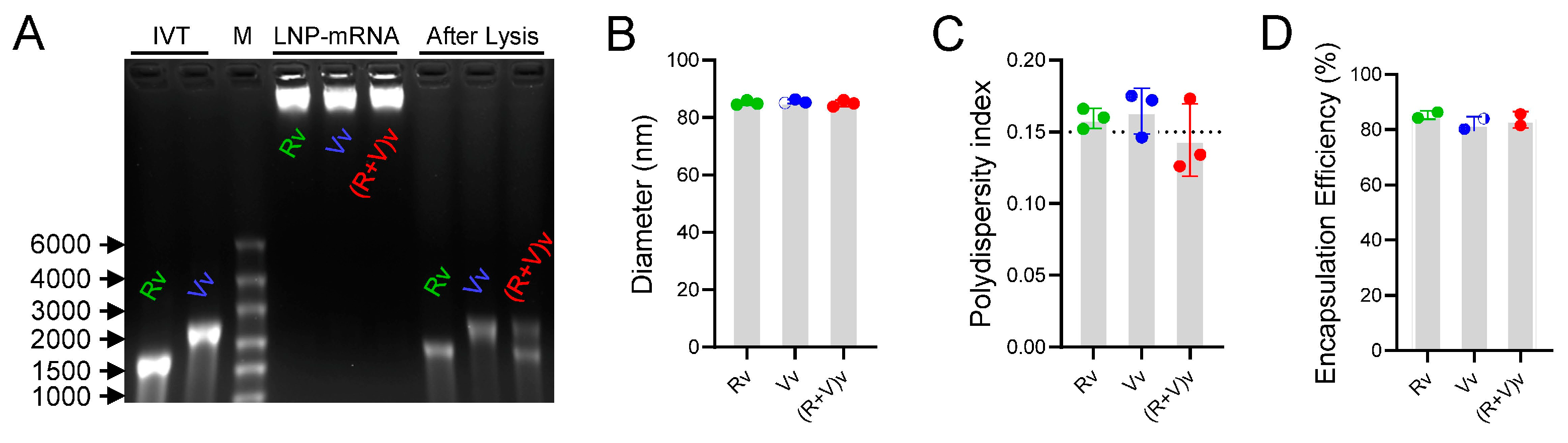 Vaccines 13 00361 g001