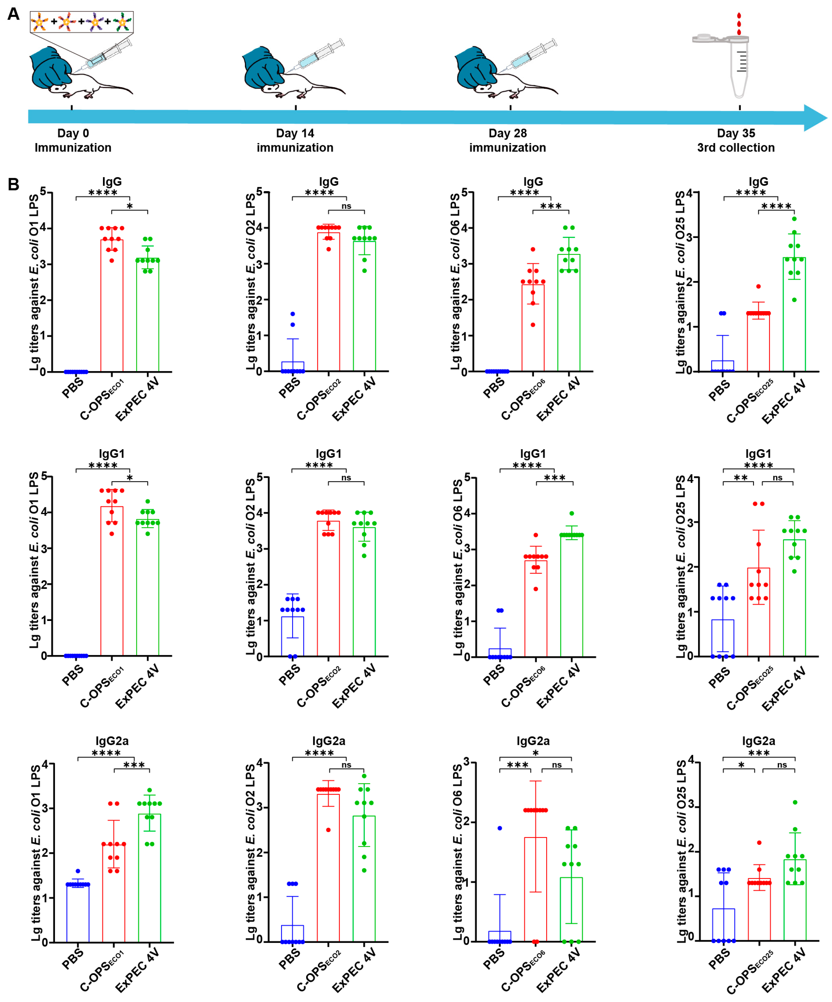 Vaccines 13 00362 g005