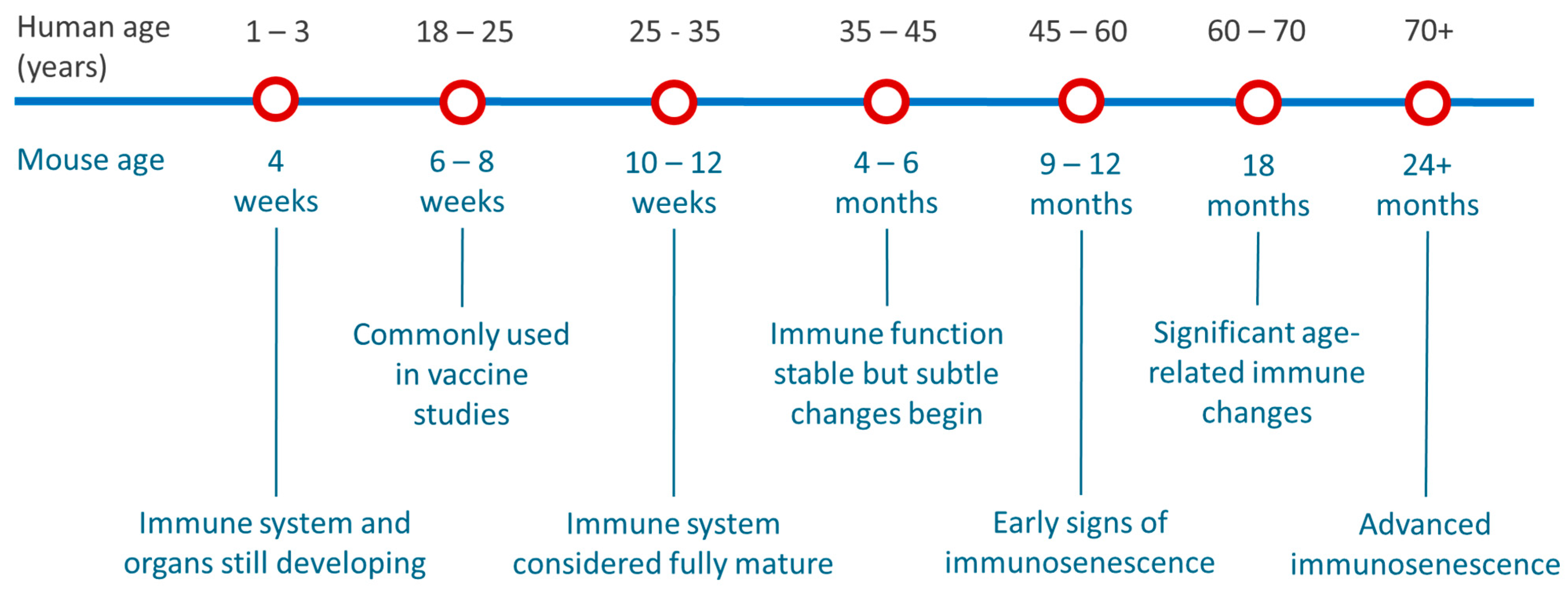 Vaccines 13 00370 g004 Vaccines 13 00370 g004